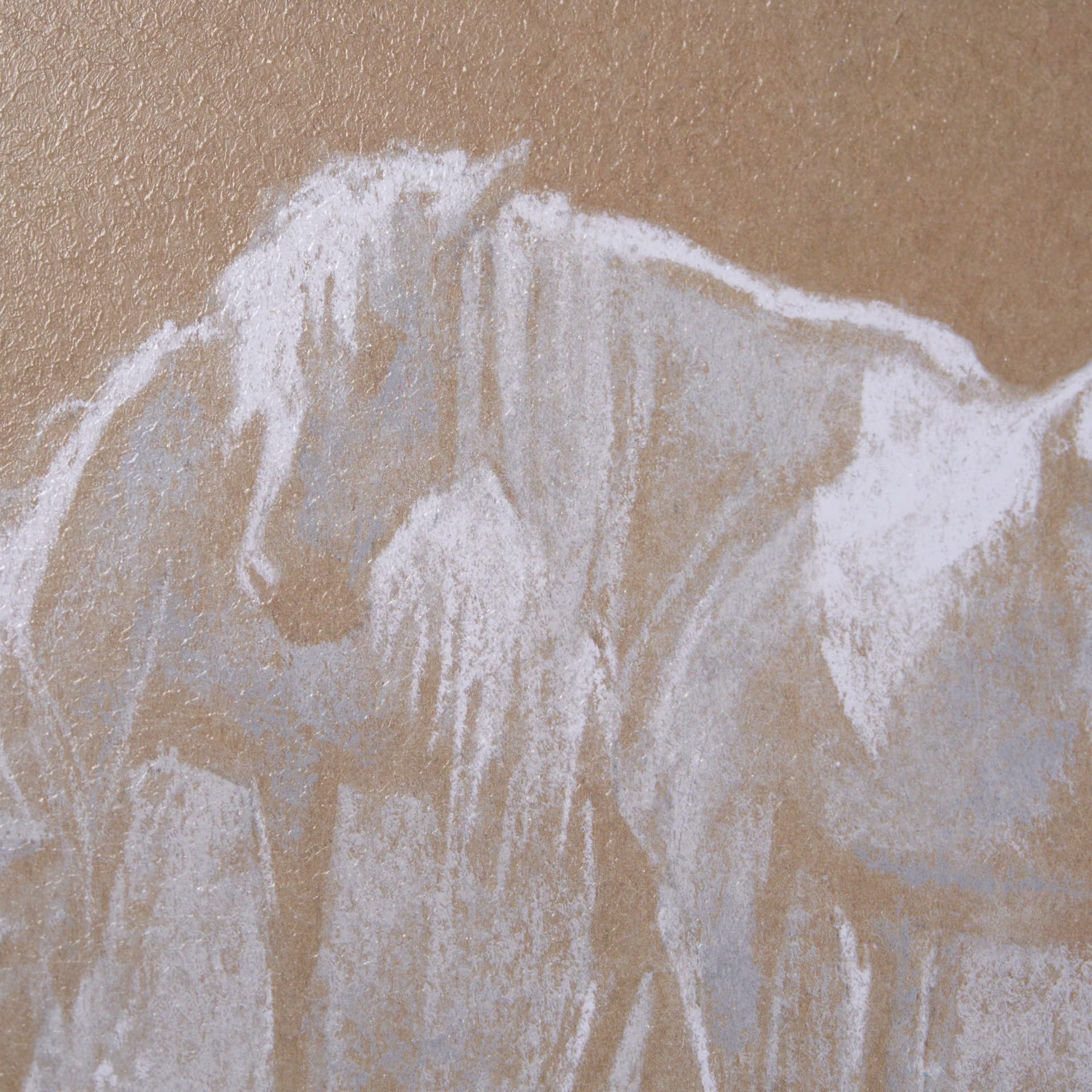 Duo I Horses by Mercana Studio a Framed Art Print Matted under Glass — product photograph