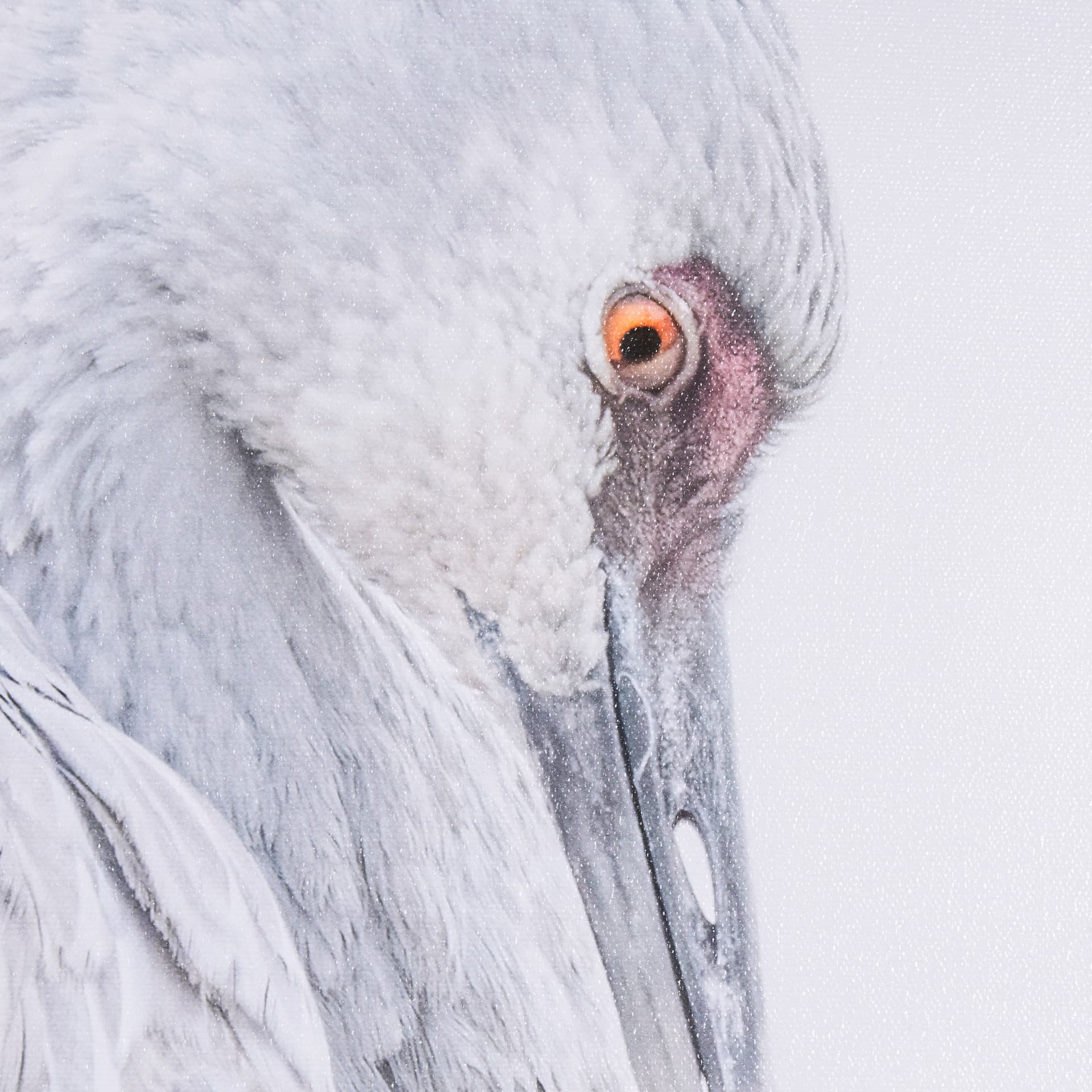 Sandhill Crane II by Chad Mckay a Hand Embelished Textured Framed Photo Art Print — product photograph