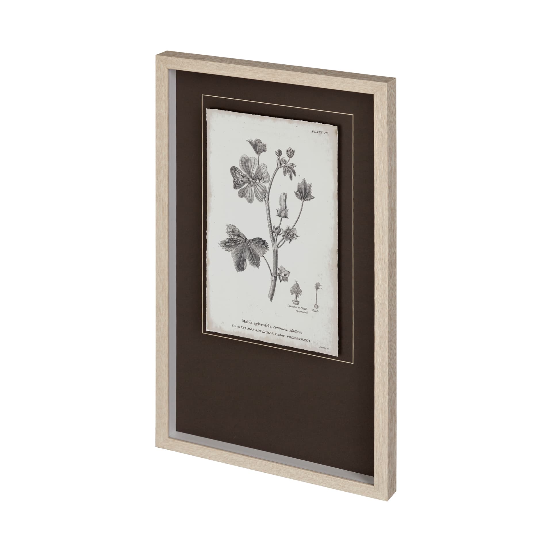 Conversations on Botany VII by Mercana Studio Hand Embellished Framed Art Print Matted under Glass — product photograph