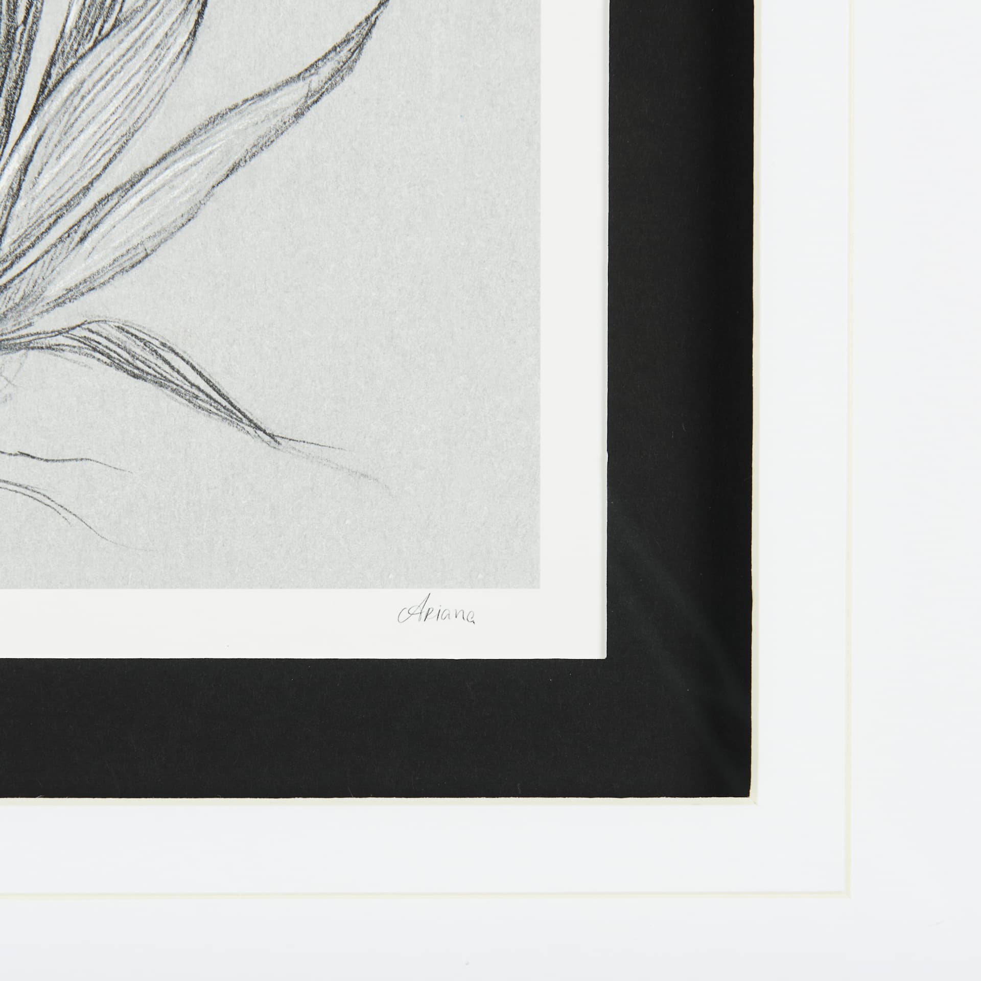 Botanical sketches IV (Grey) by Mercana Studio Hand Embellished Framed Art Print Matted under Glass — product photograph