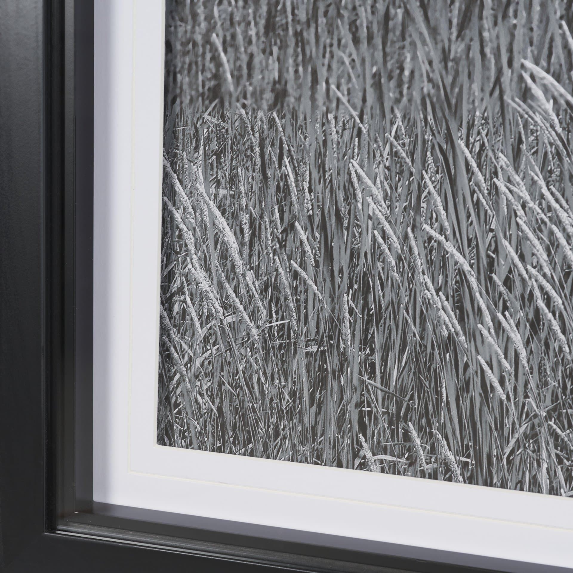 Farm Serenity I by Leda Robertson Textured FramedPhoto Print Matted under Glass — product photograph