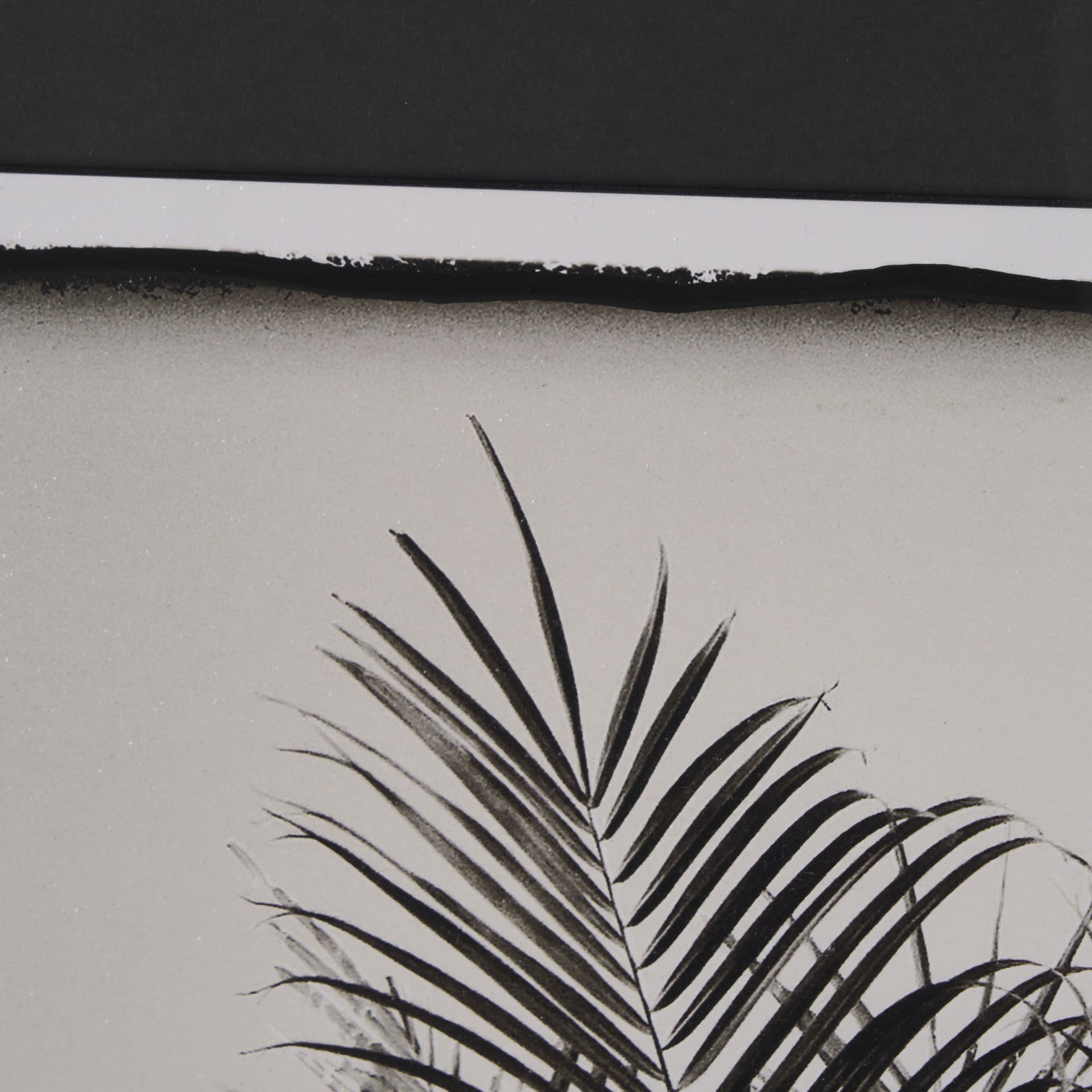 Palm Tree Sepia I by Debra Van Swearingen a Hand Embellished Framed Photo Art Print Matted under Gla — product photograph