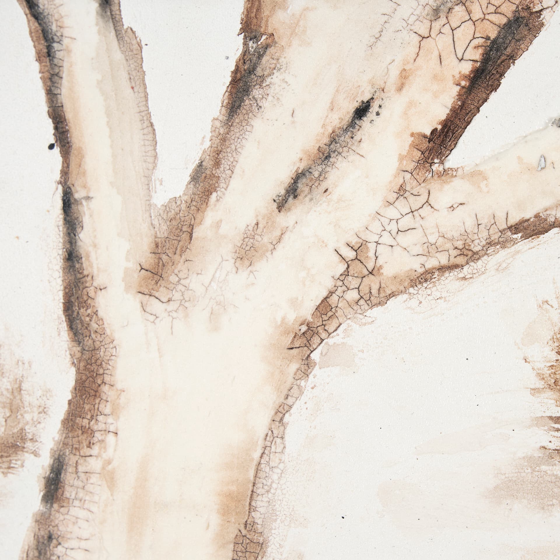 Ancient Arbutus by Studio M a handmade Original Framed Artwork under Glass — product photograph