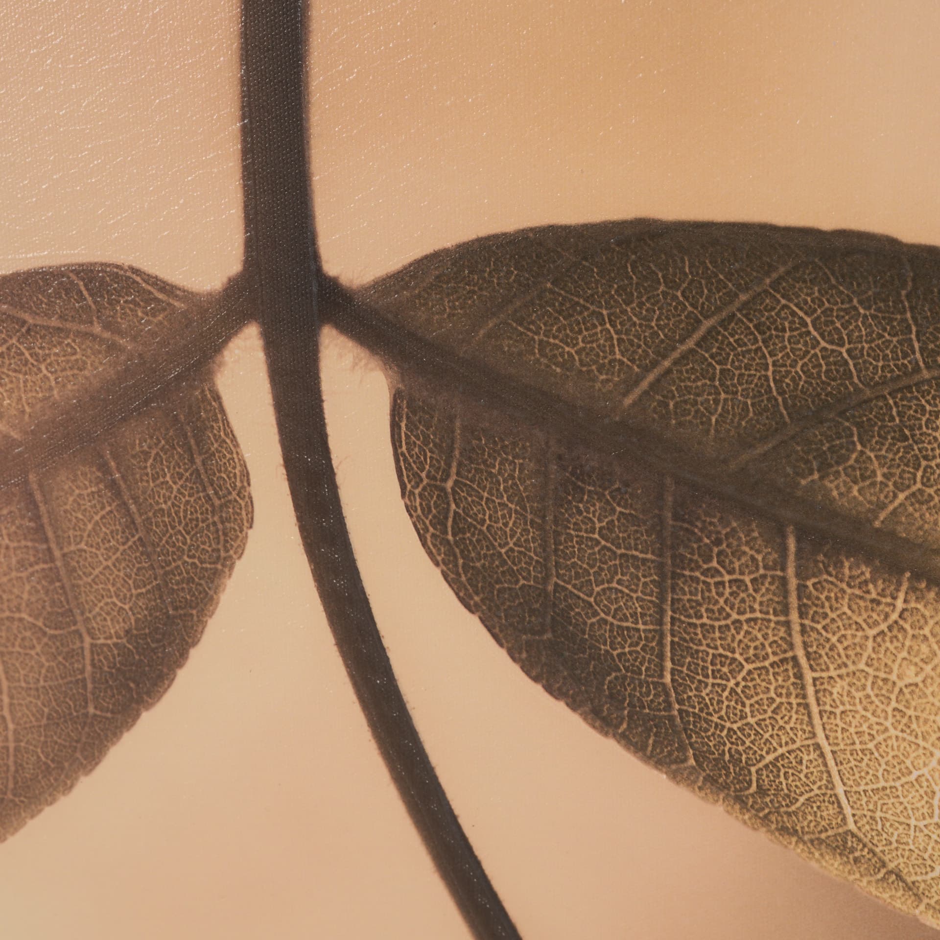 Leaf Imaging by Michael Banks a Hand Embellished Framed Photo Art Print Matted under Glass — product photograph
