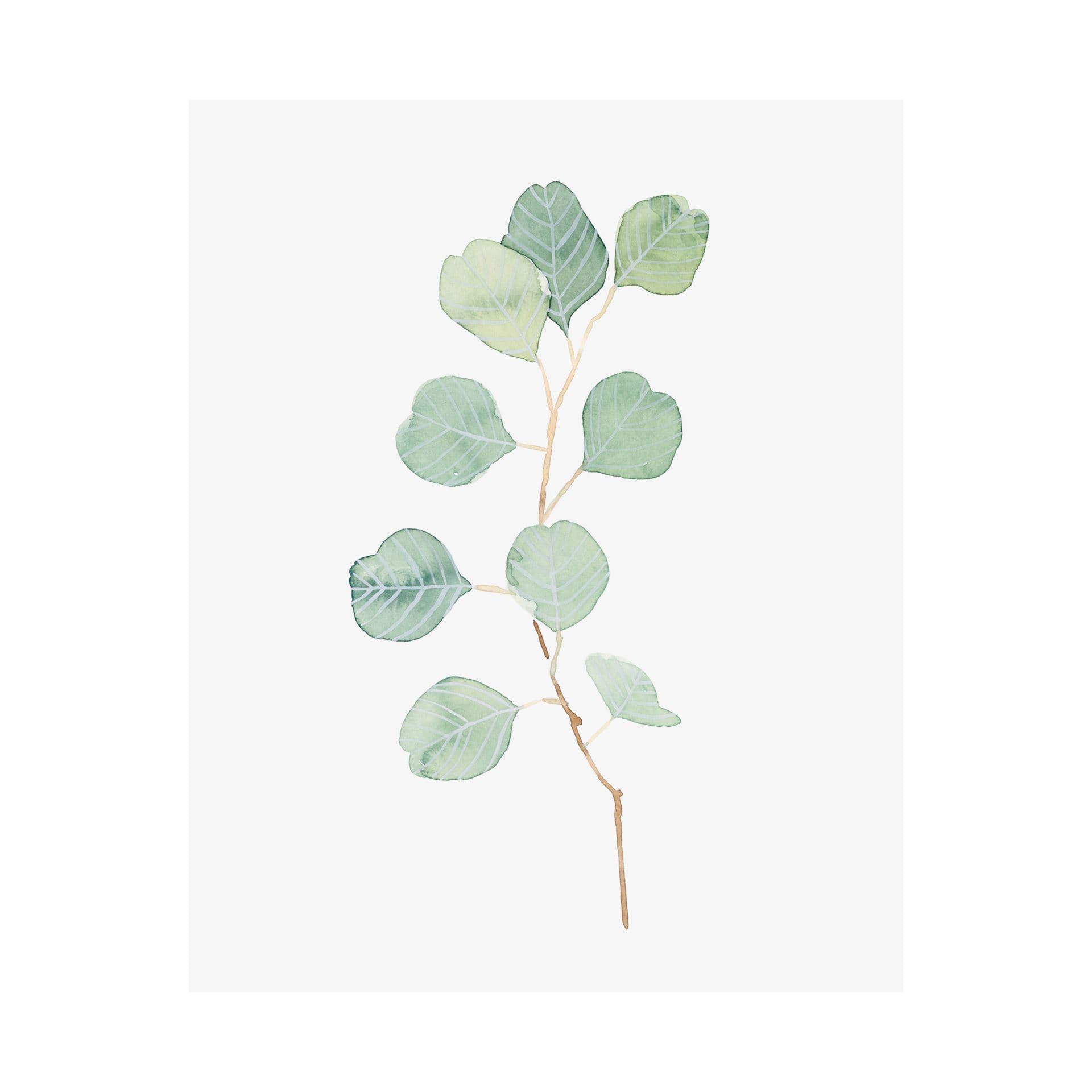 Soft Eucalyptus Branch IV by Emma Scarvey a Hand Embellished Textured Canvas — product photograph