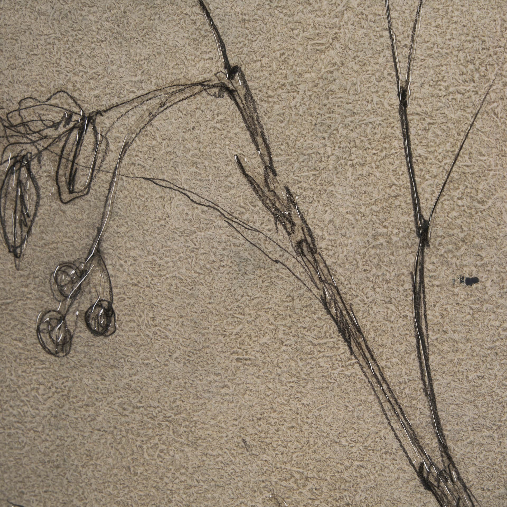 Black Chokecherry 1 by Mercana Studio a Hand Embellished Framed Art Print Matted under Glass — product photograph