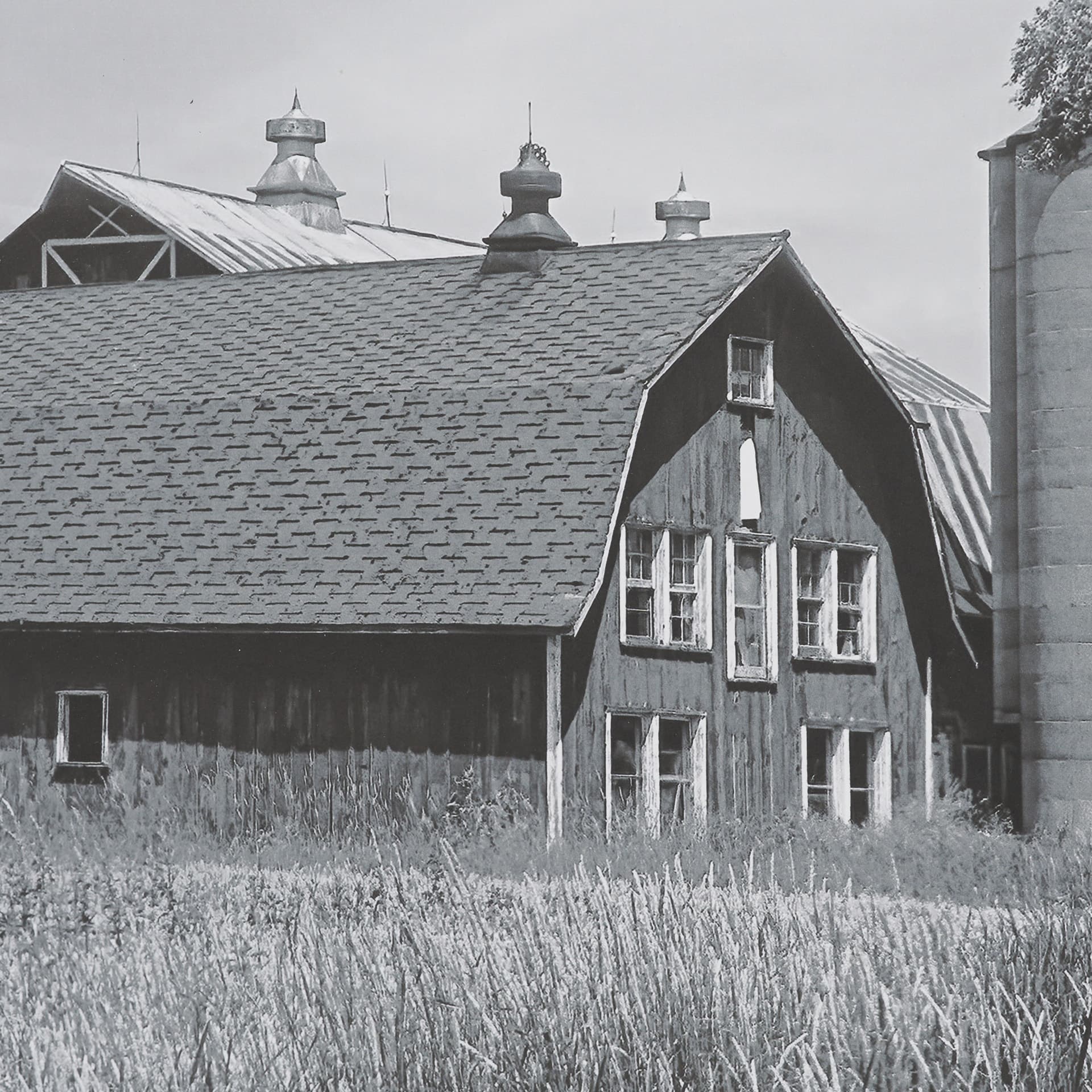 Farm Serenity I by Leda Robertson Textured FramedPhoto Print Matted under Glass — product photograph