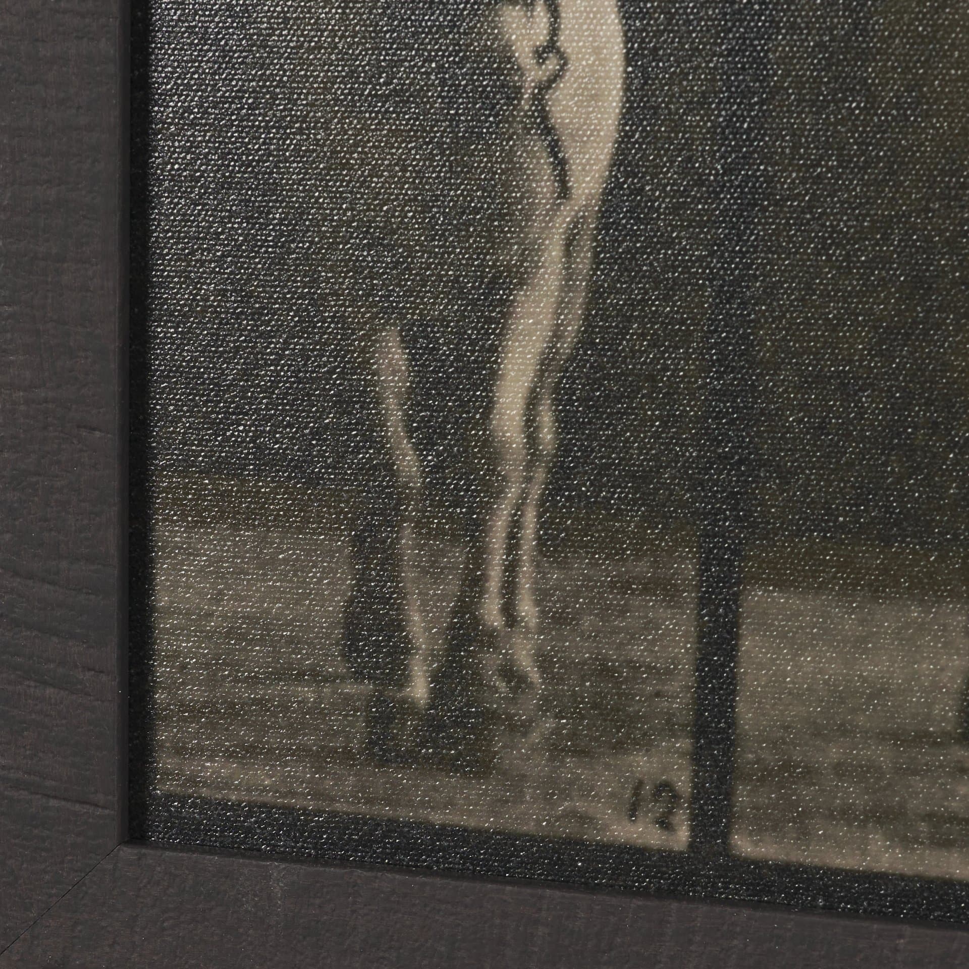 Walking Free by Eadweard Muybridge Textured Framed CanvasPhoto Print — product photograph