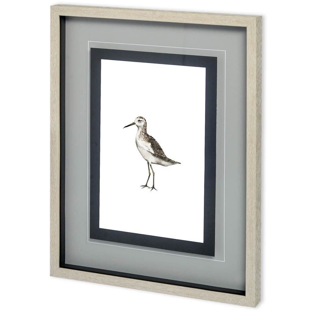 Custom Sea Bird VI by Grace Popp a Framed Art Print Matted under Glass — product photograph