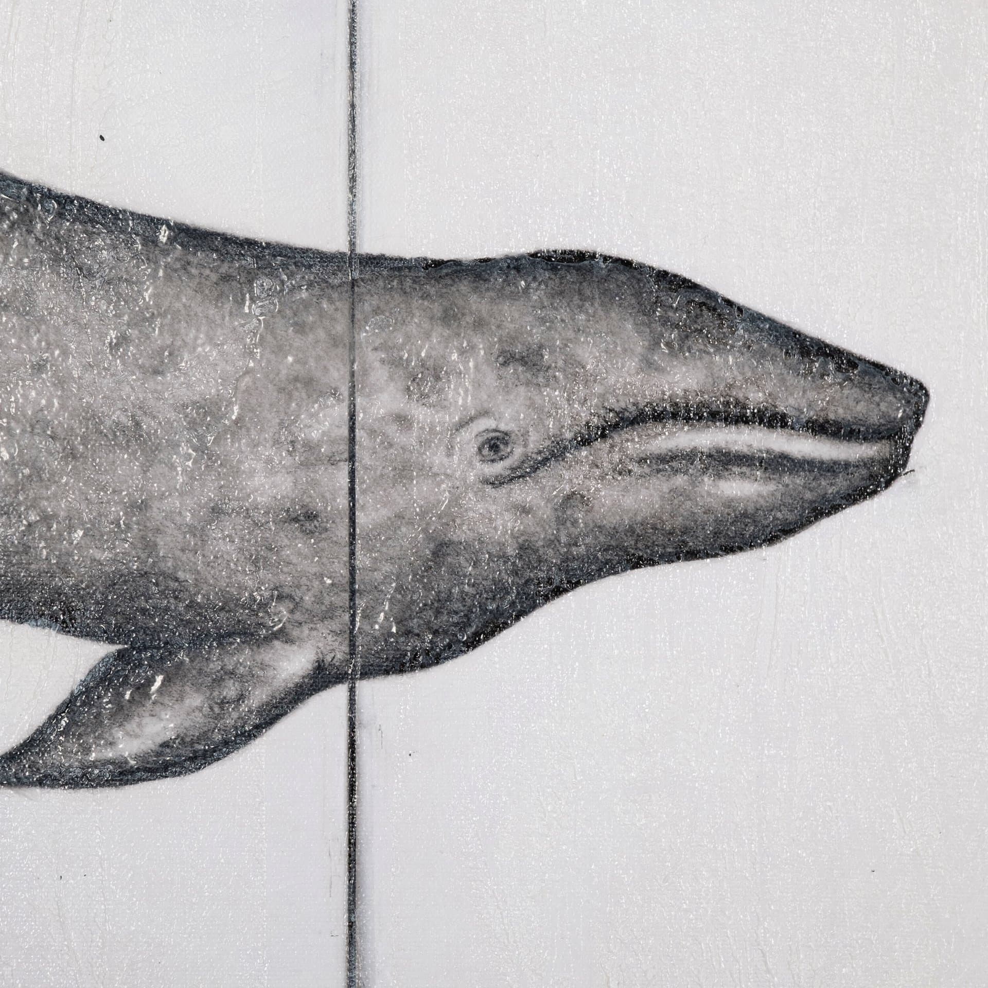 Gray Whale by Mercana Studio a Hand Embellished Textured Canvas — product photograph