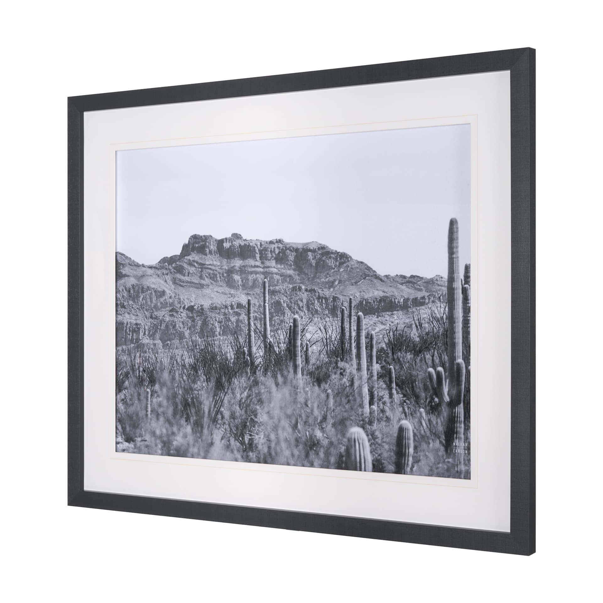 American Borderlands by Nathan Larson Hand Embelished Textured Framed Photo Art Print Matted under G — product photograph