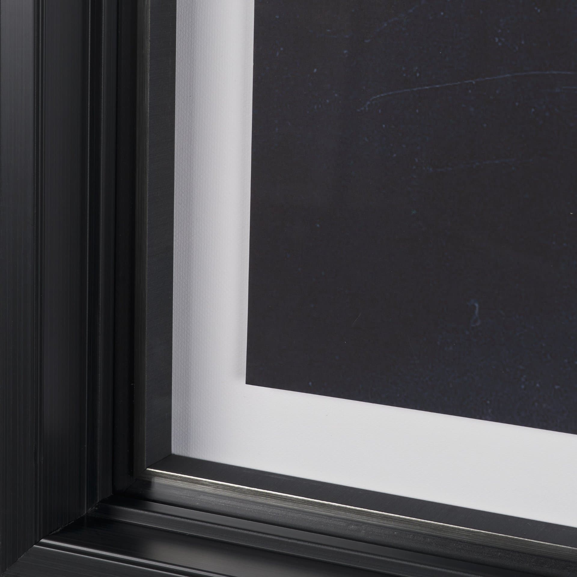 Urchin Still Life I by Nathan Larson a Hand Embellished Framed Photo Art Print Matted under Glass — product photograph