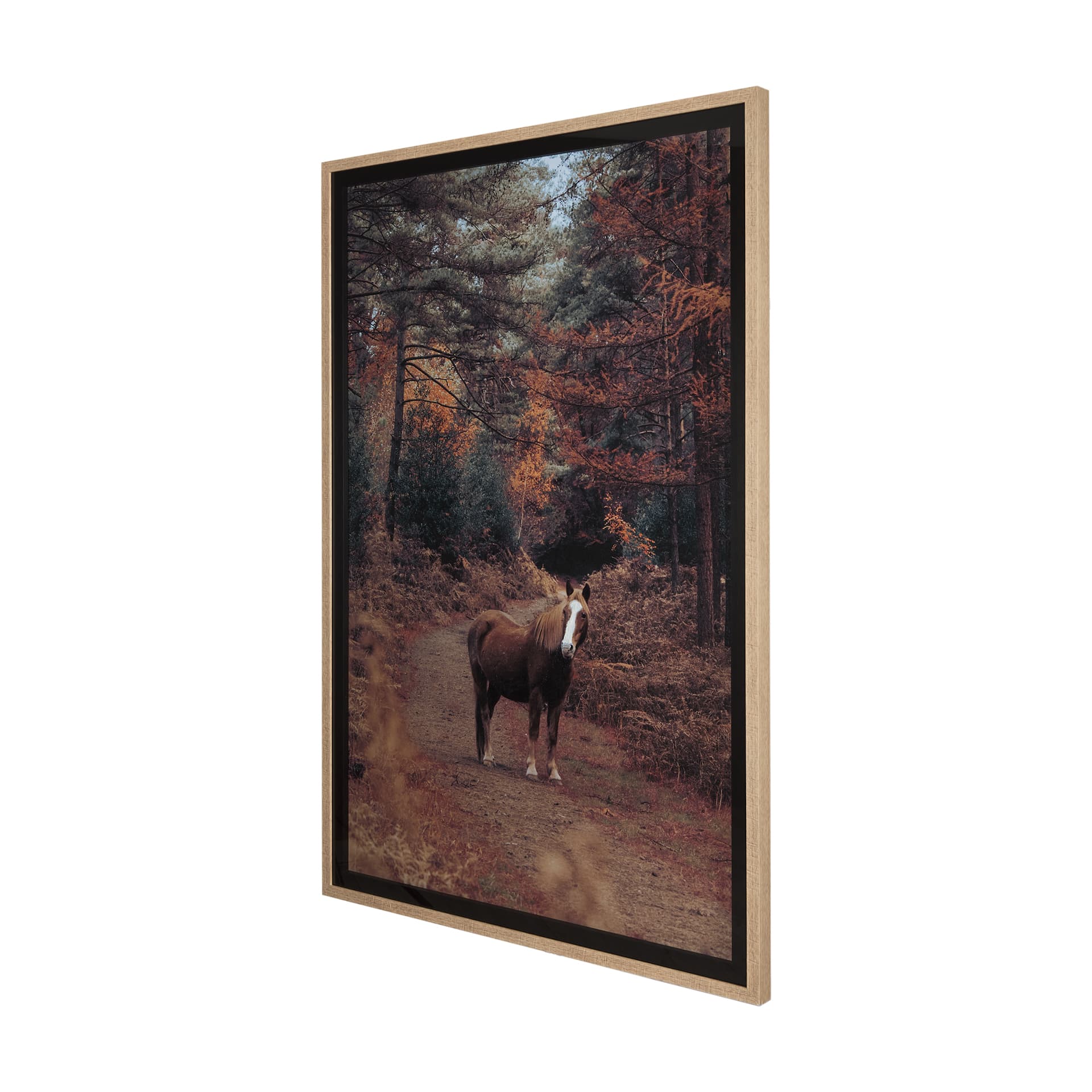 Forest Crossing by Mercana Studio a Hand Embellished Textured Framed Photo Art Print Matted under Gl — product photograph