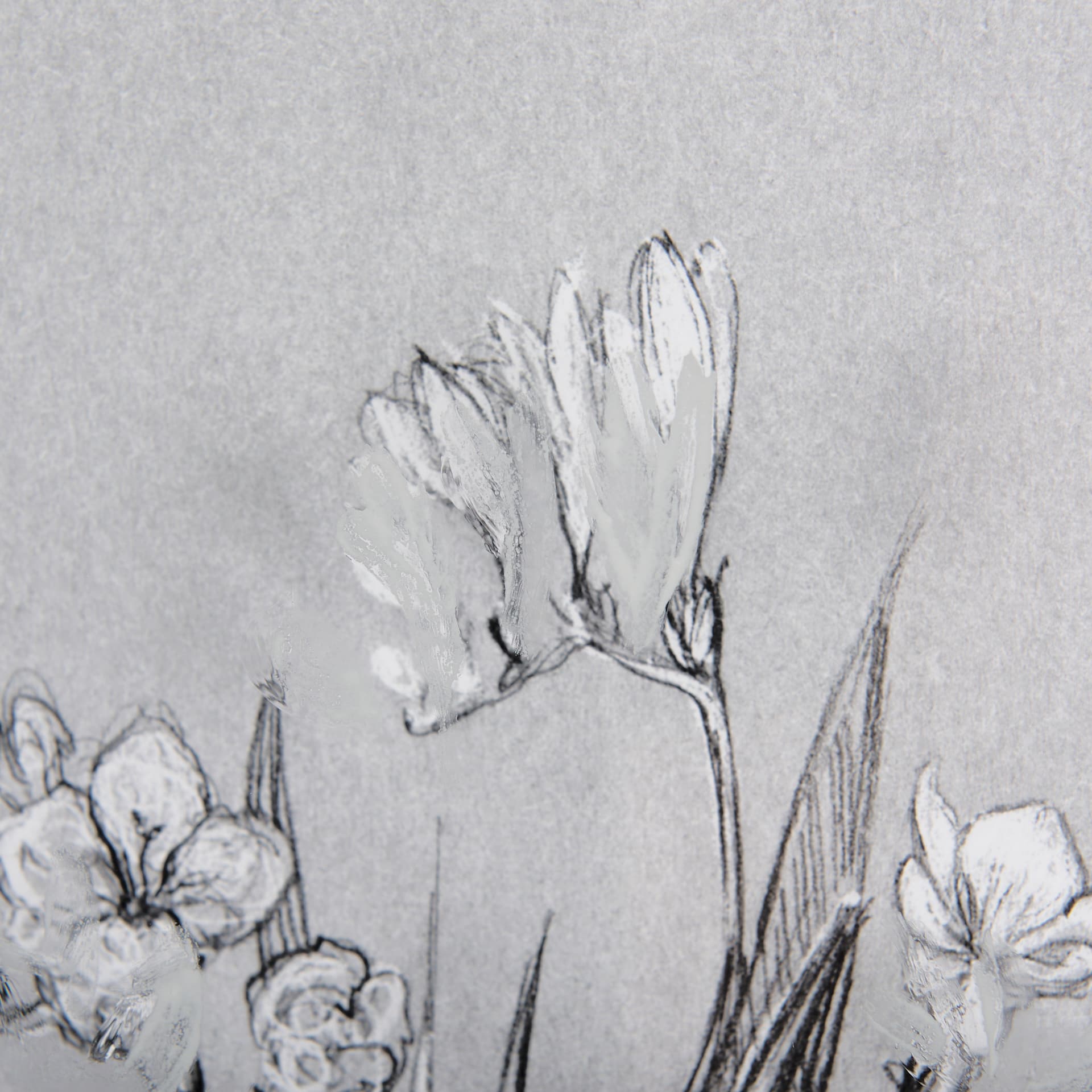 Botanical sketches III (Grey) by Mercana Studio Hand Embellished Framed Art Print Matted under Glass — product photograph