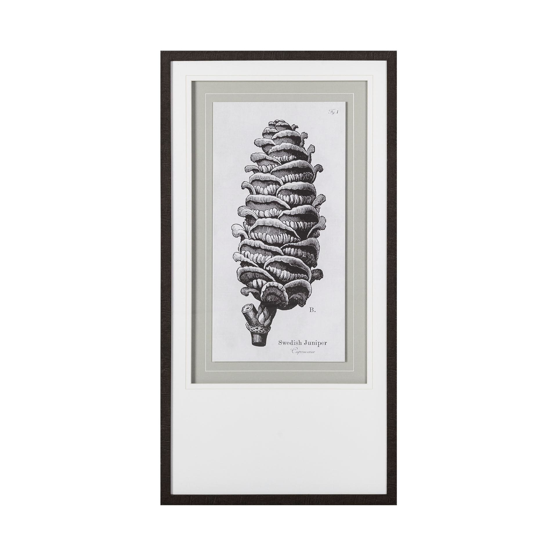 Swedish Juniper by Maria Mendez a Framed Art Print Matted under Glass — product photograph