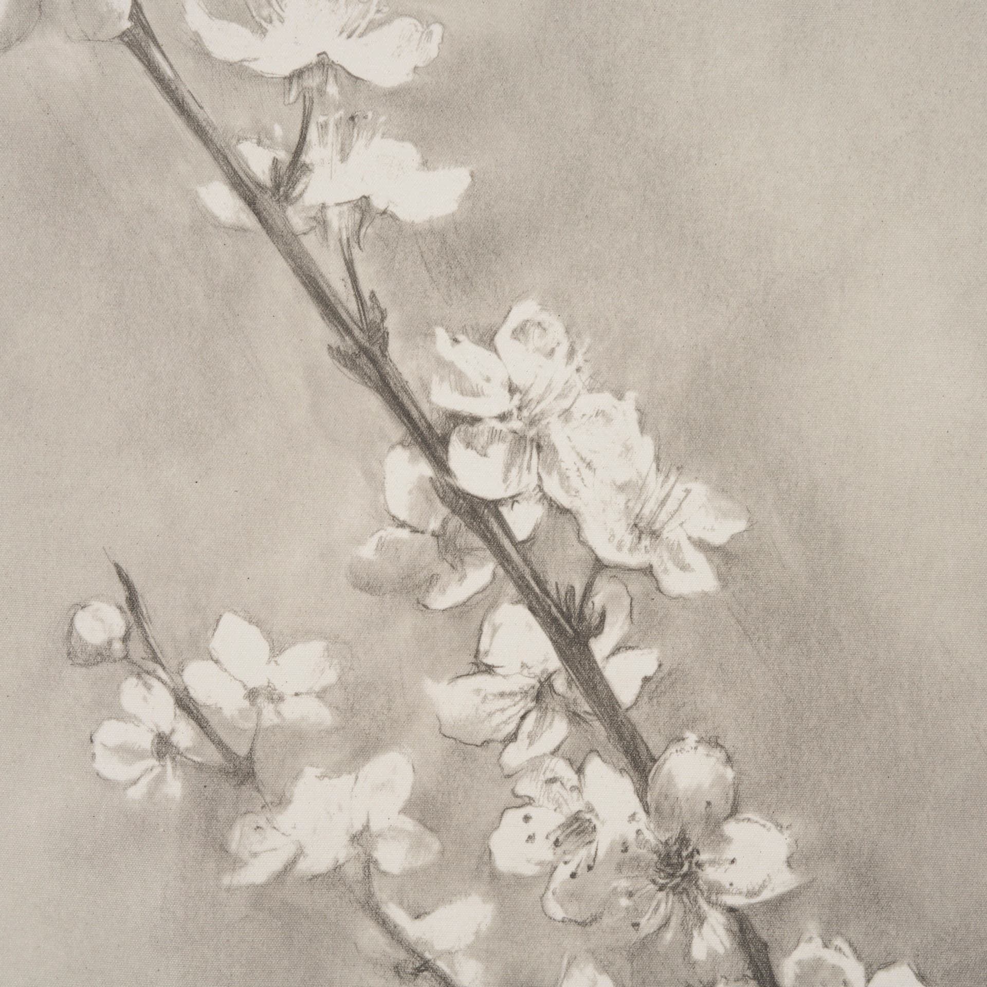 Cherry Blossom Sketch II by Mercana Studio a Hand Embellished Framed Art Print — product photograph