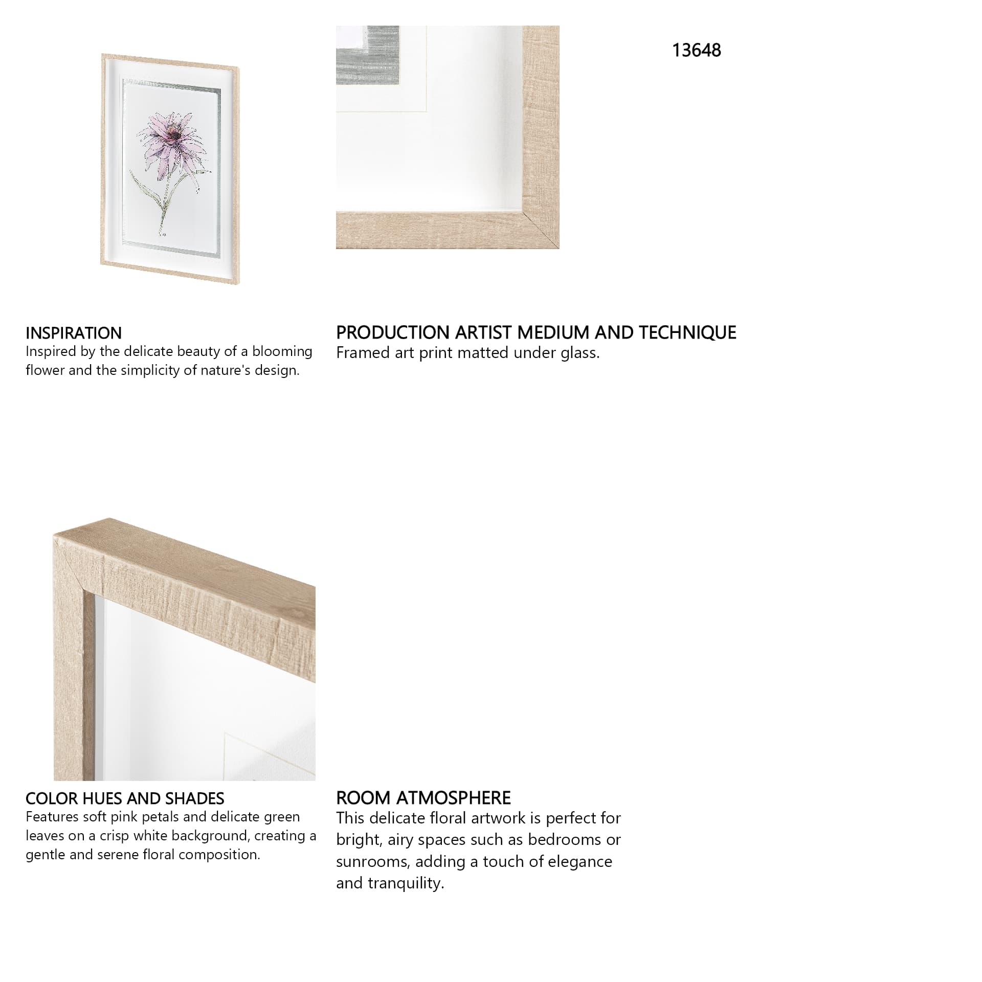 Echinacea I by Panpan Zhang a Framed Art Print Matted under Glass — in a styled room