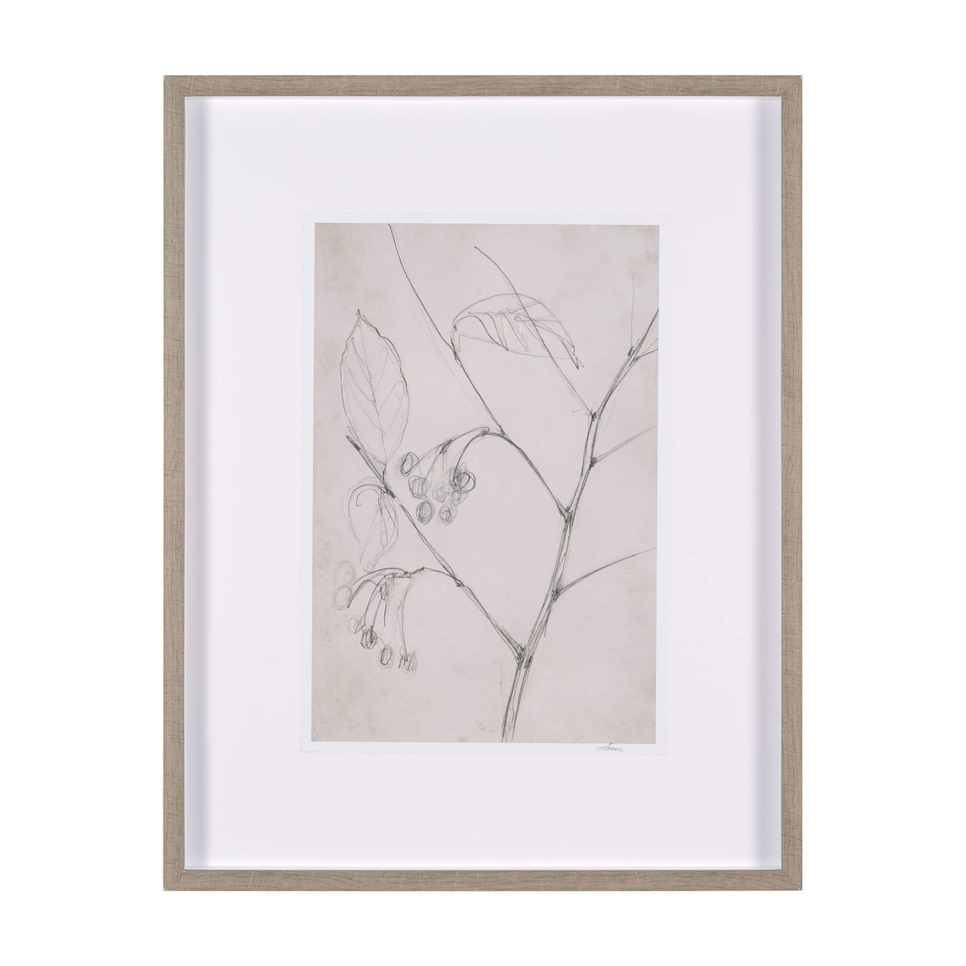 Chokecherry 2 by Mercana Studio a Hand Embellished Framed Art Print Matted under Glass — product photograph