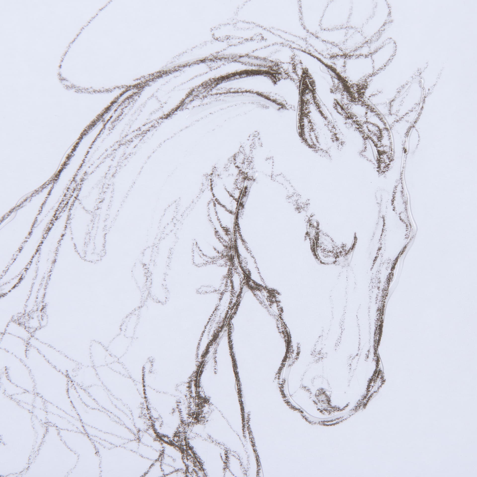Horse I by Mercana Studio a Hand Embellished Textured Framed Art Print Matted under Glass — product photograph