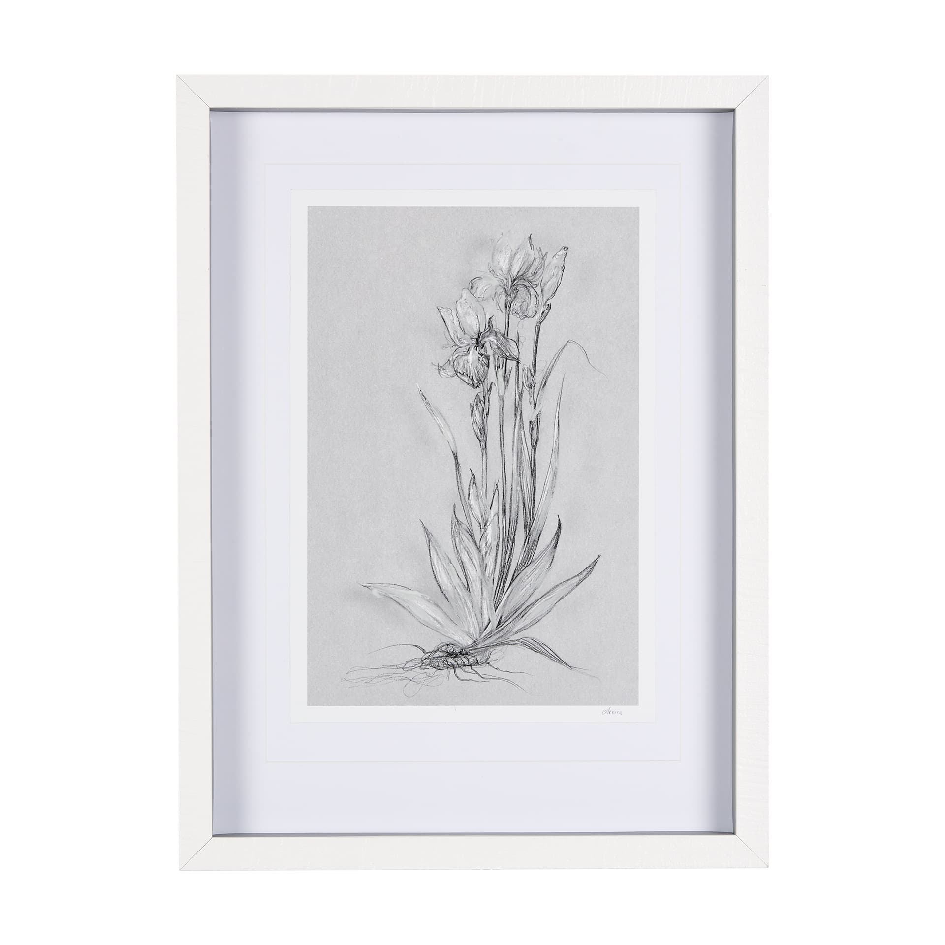 Botanical sketches IV (Grey) by Mercana Studio Hand Embellished Framed Art Print Matted under Glass — product photograph
