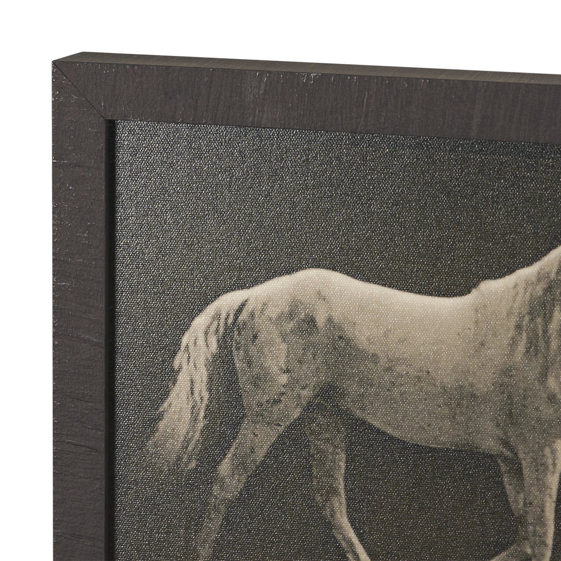 Walking Tall by Eadweard Muybridge Textured Framed CanvasPhoto Print — product photograph