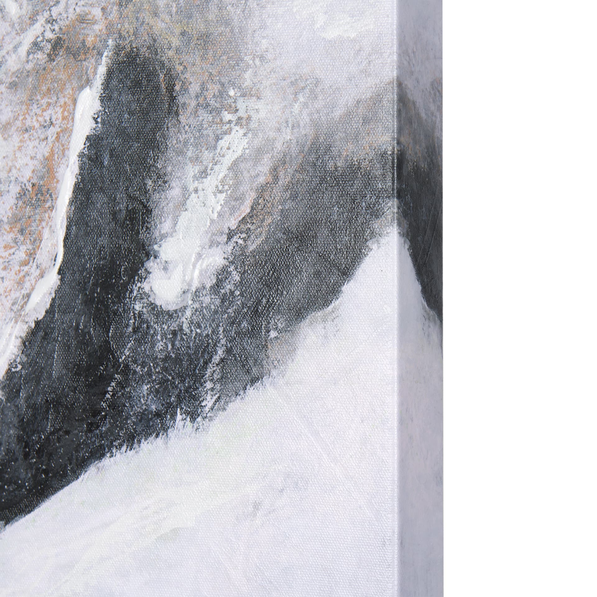 Animal Portrait I by Mercana Studio a Hand Embellished Textured Canvas — product photograph