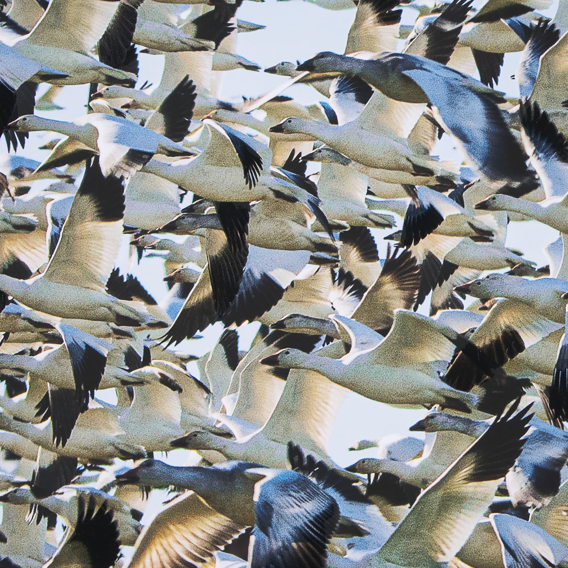 Snowgoose Migration 2 by Gary Blatter Hand Embelished Textured Framed Art Print Matted under Glass — product photograph