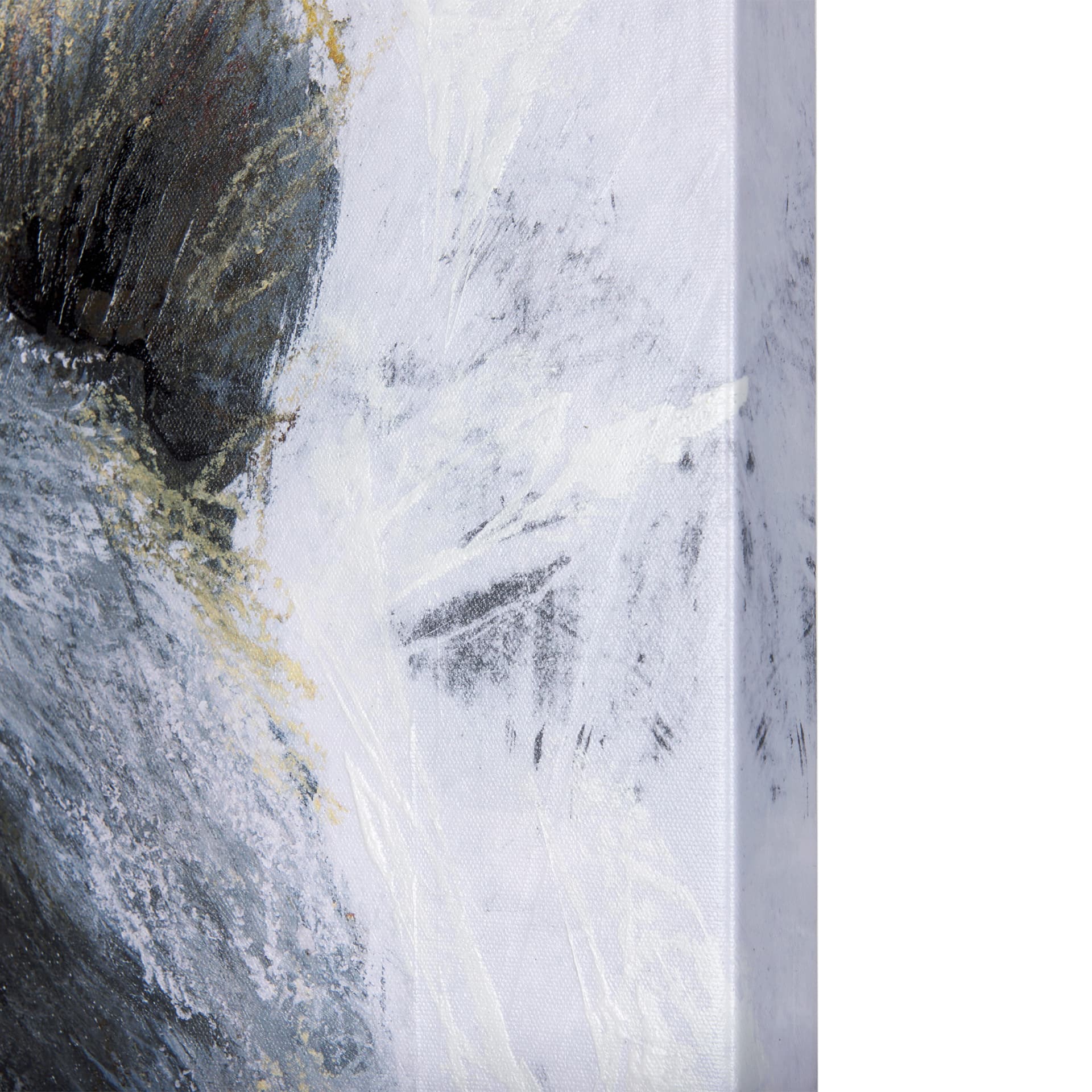 Animal Portrait III by Mercana Studio a Hand Embellished Textured Canvas — product photograph