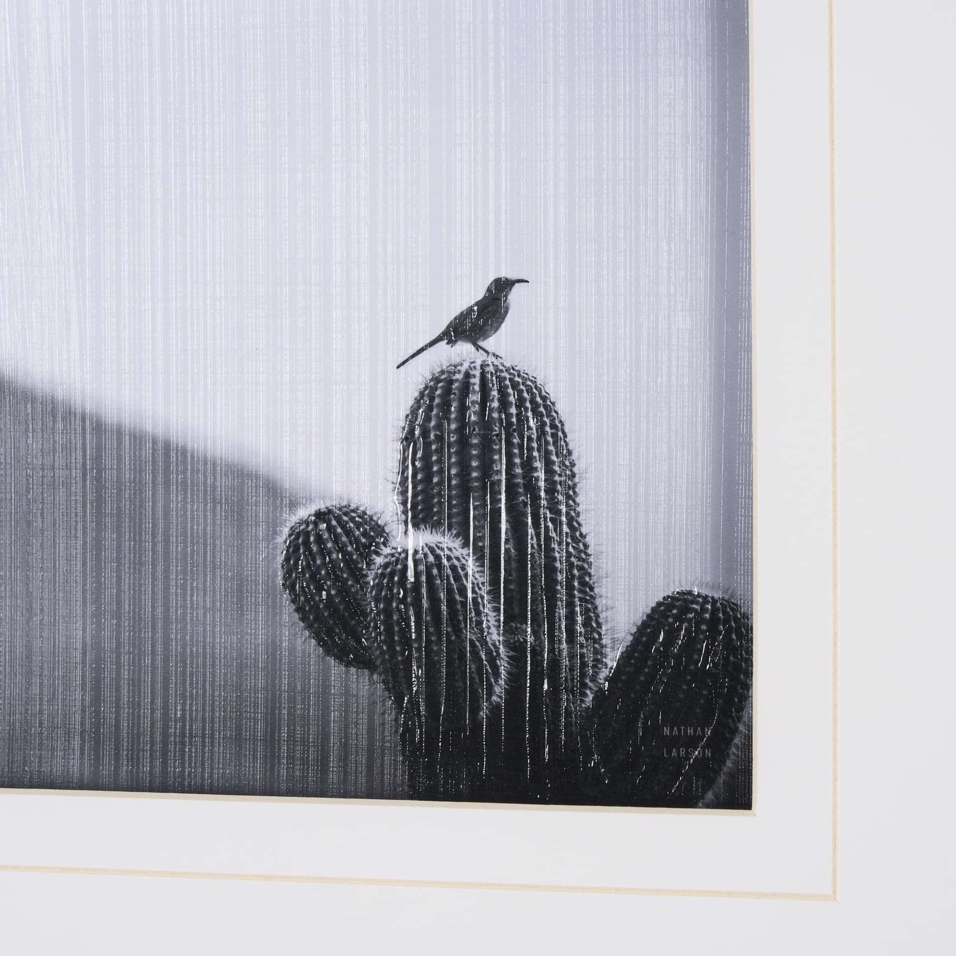 On Guard by Nathan Larson a Hand Embelished Textured Framed Photo Art Print Matted under Glass — product photograph