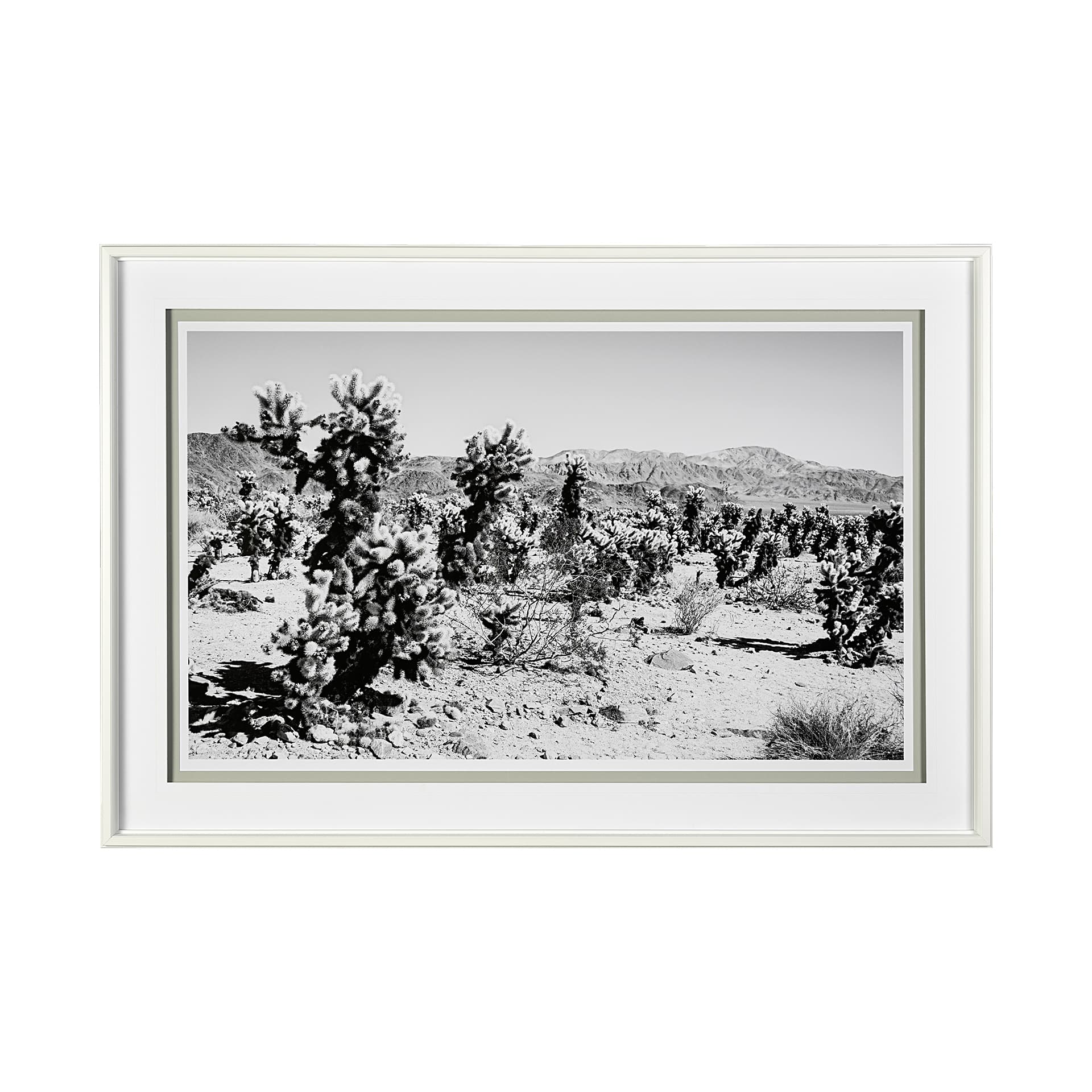 Road Trip III by Elizabeth Urquhart a Framed Photo Art Print Matted under Glass — product photograph