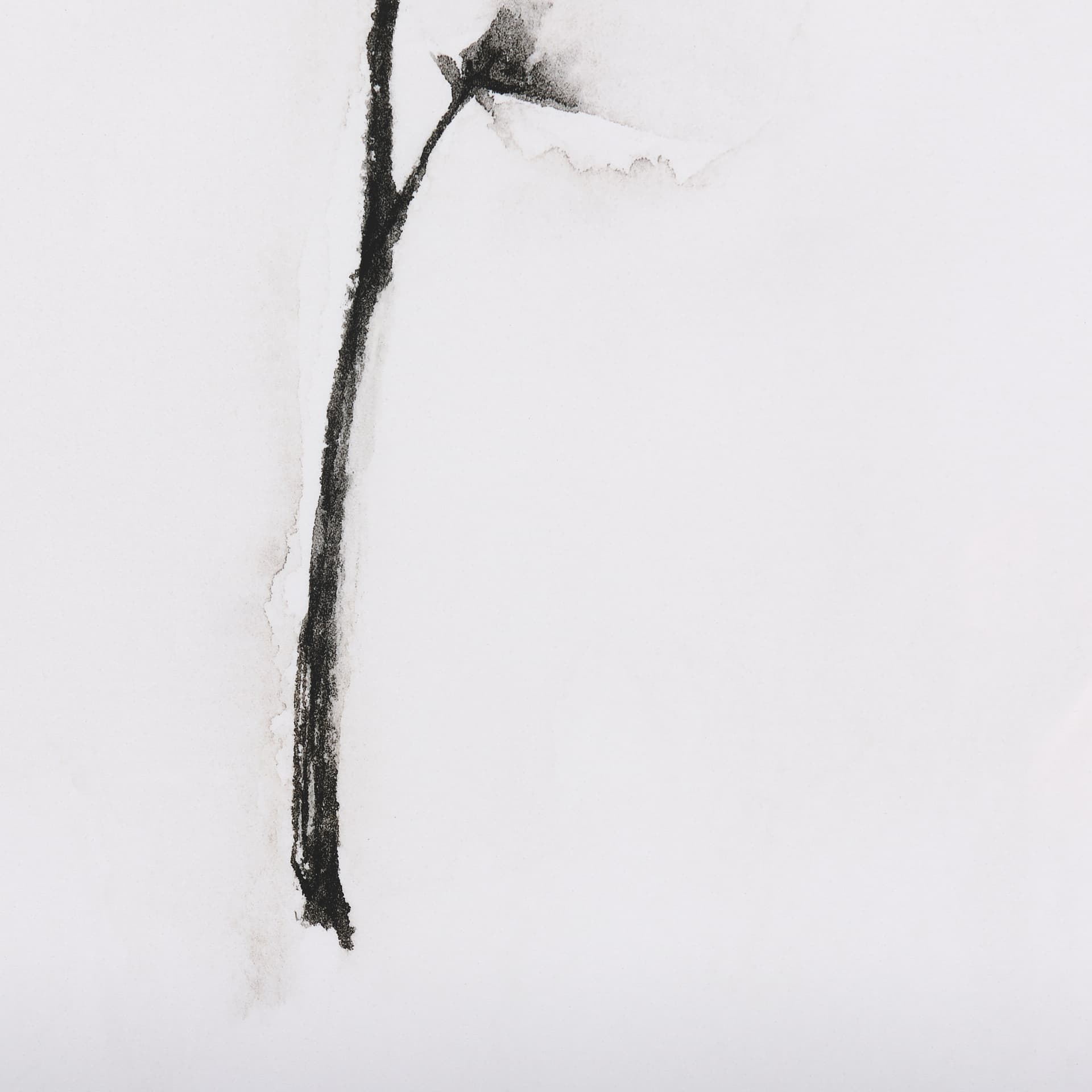 Snow Greetings II by Panpan a Framed Art Print Matted under Glass — product photograph