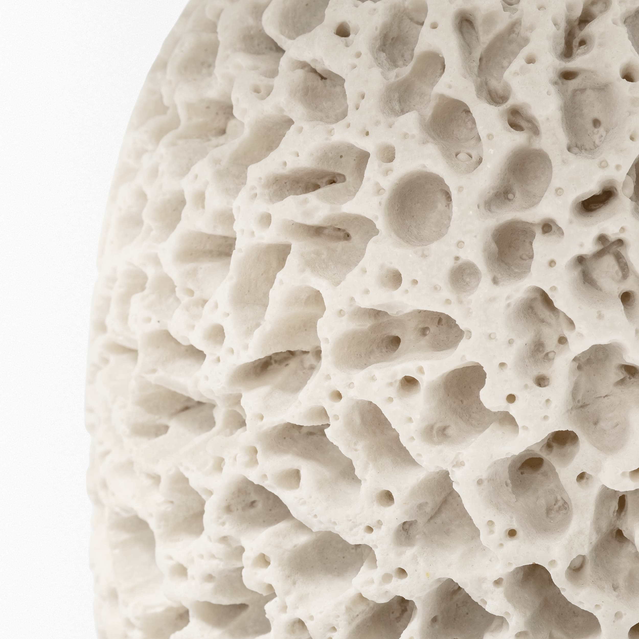Mariam (26"H) Cream Coral-Inspired Base Table Lamp — product photograph
