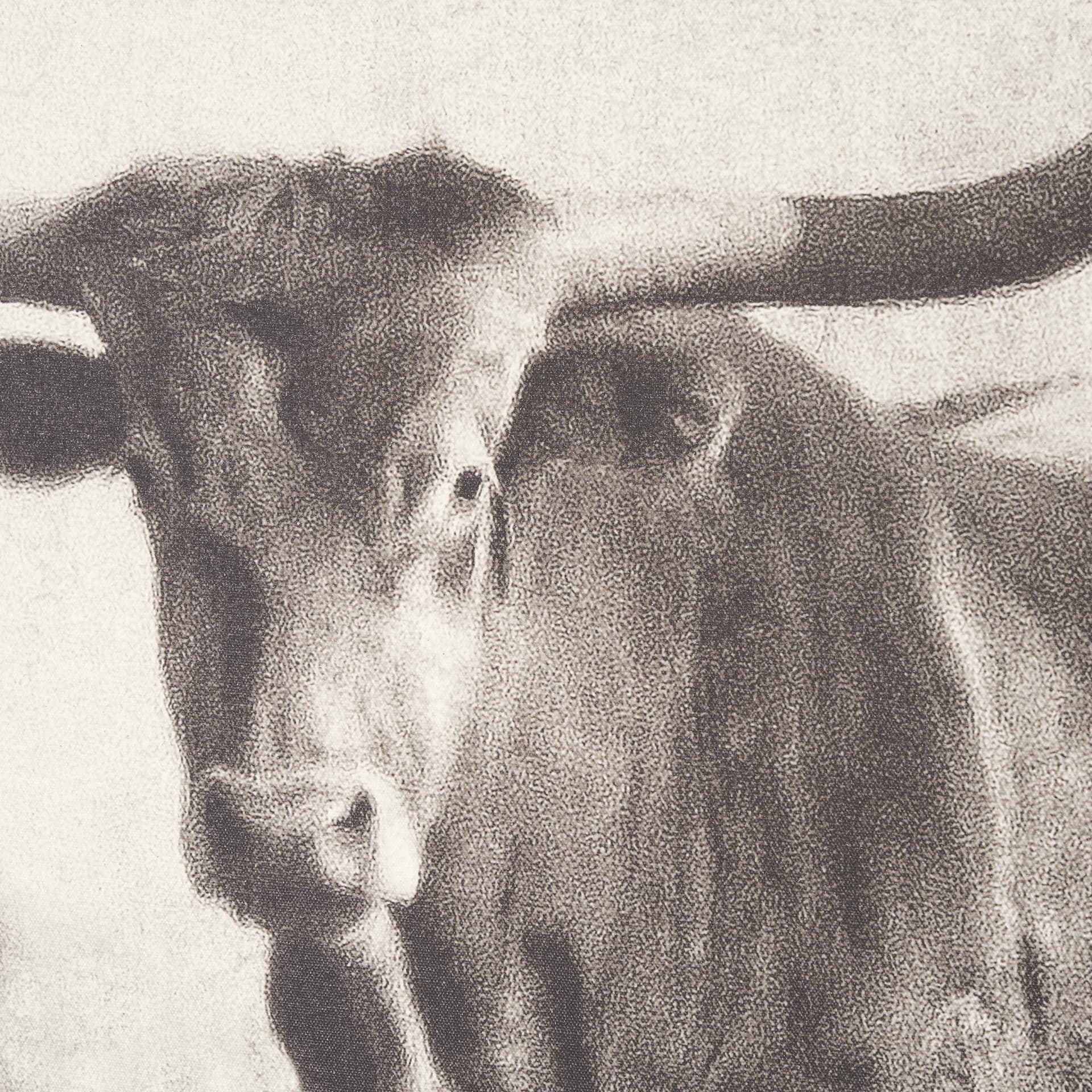 Texas Longhorns (Set of 2) by Debra Van Swearingen a Hand Embellished Framed Art Photograph Print — product photograph