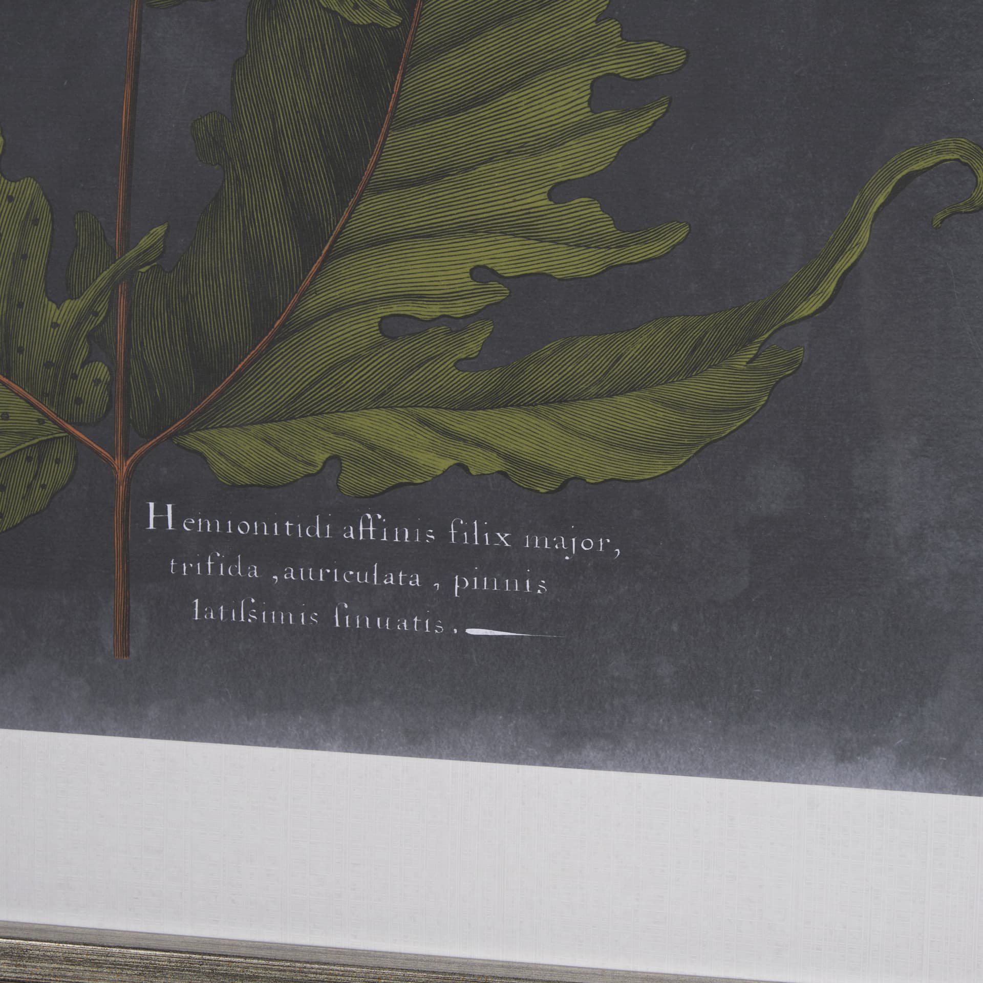 Foliage Dramatique VI by Vision Studio Hand Embellished Textured Framed Art Print Matted under Glass — product photograph