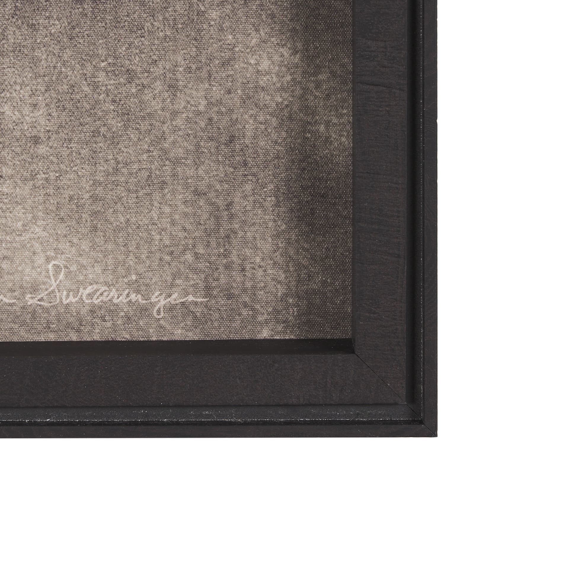 Texas Longhorns (Set of 2) by Debra Van Swearingen a Hand Embellished Framed Art Photograph Print — product photograph