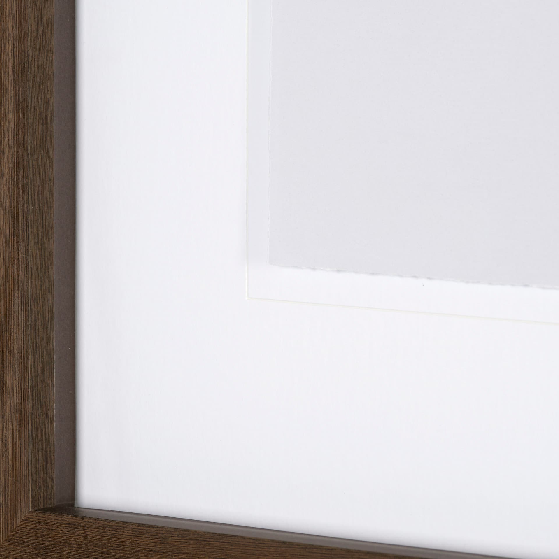 Olive Branch II by Gabrielle a Framed Art Print Matted under Glass — product photograph