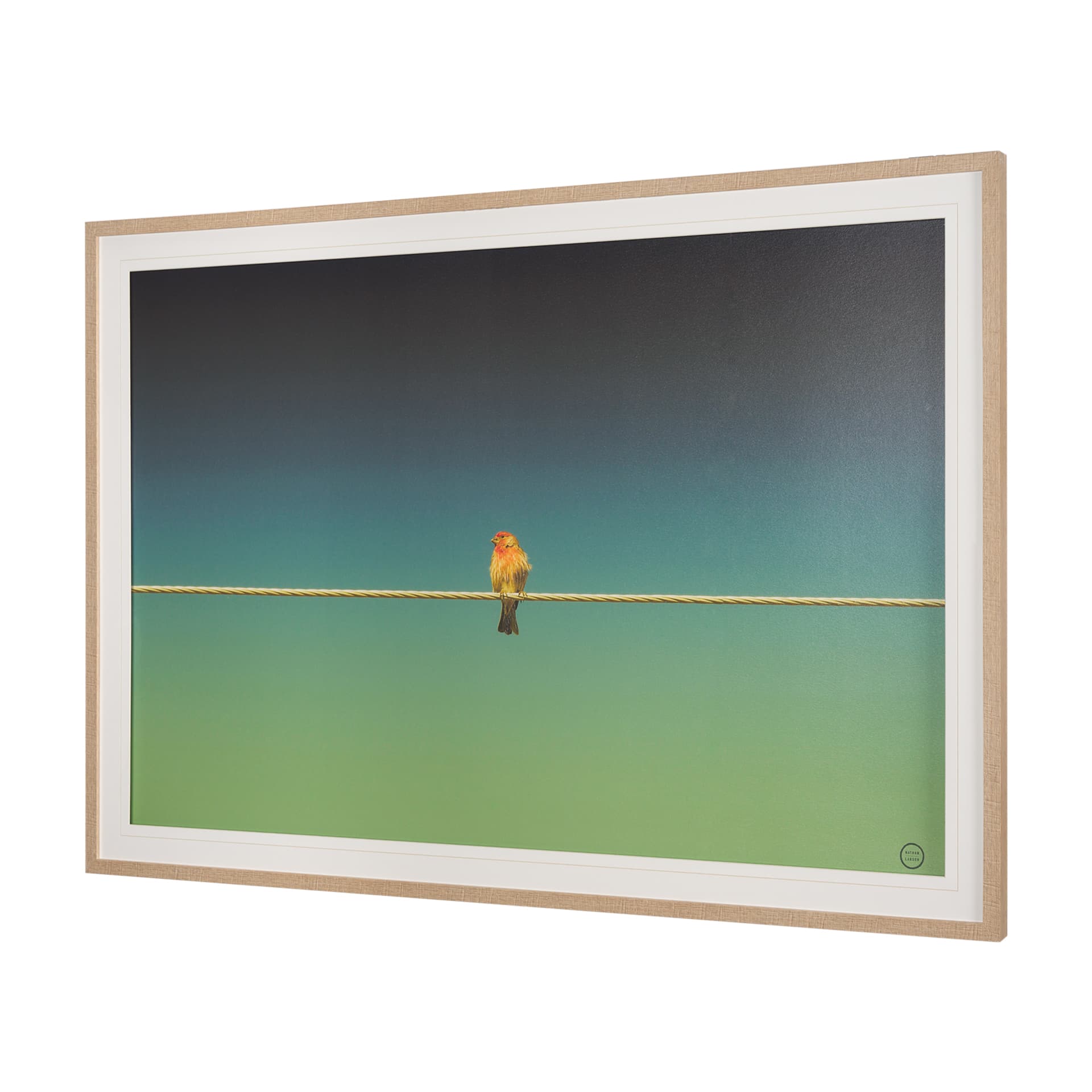 Wired Finch by Nathan Larson a Hand Embellished Framed Photo Art Print Matted under Glass — product photograph