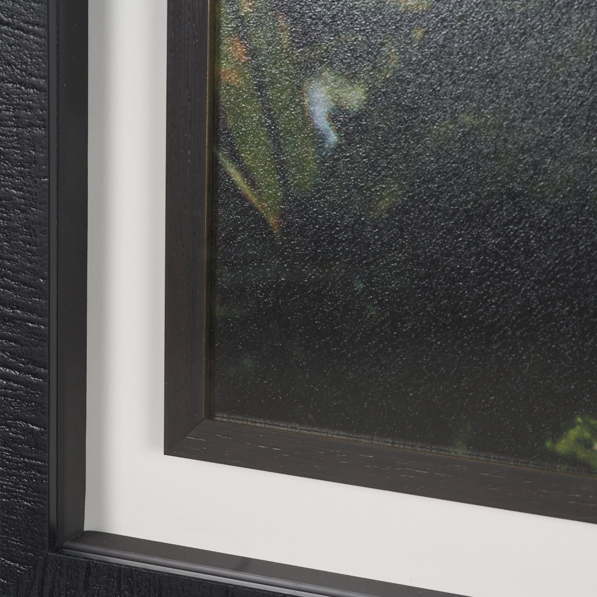 Kauai Jungle Dream by Stefan and Audrey Textured Framed Photo Print Matted under Glass — product photograph