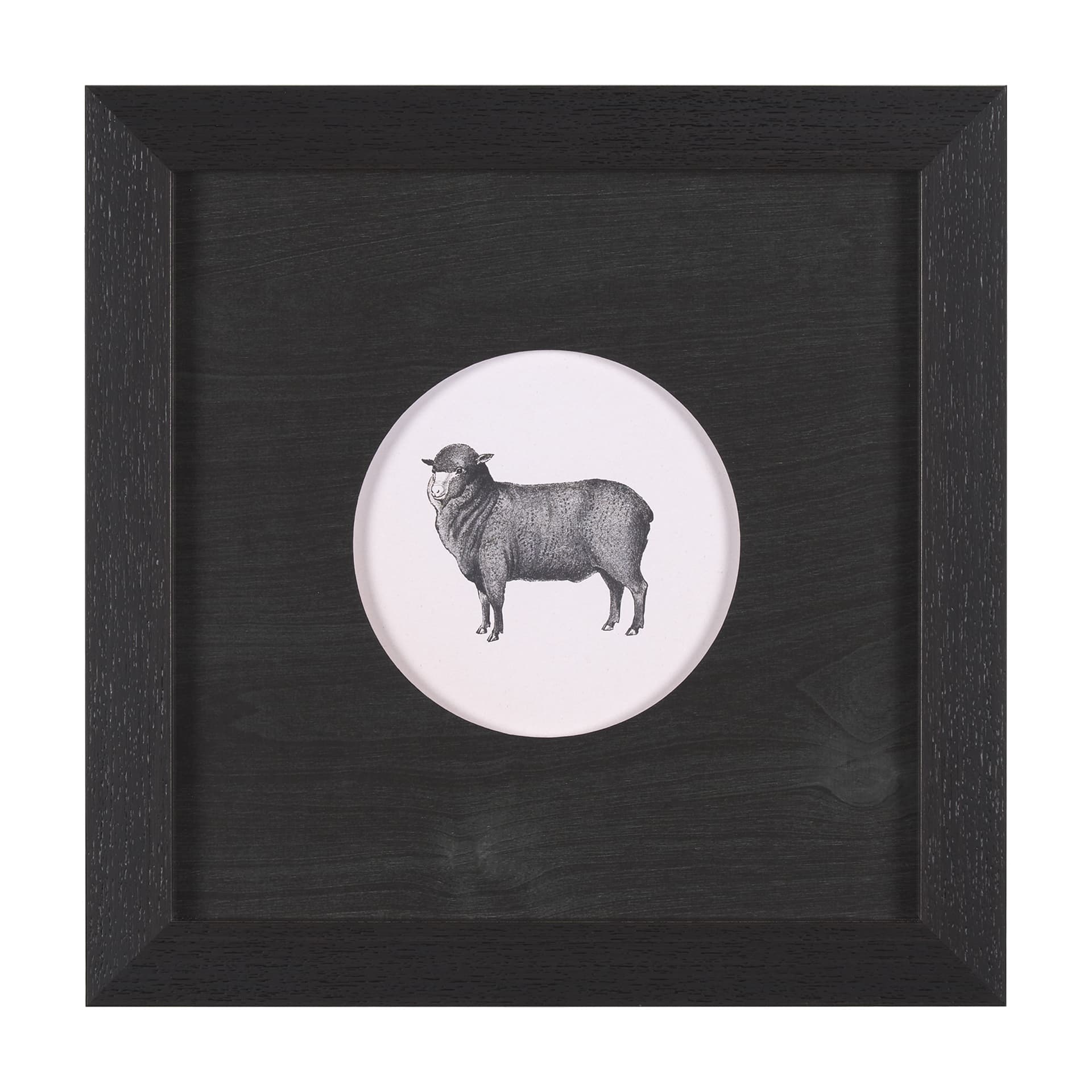 Down On The Farm II by Wild Apple Portfolio a Framed Art Print Matted under Glass — product photograph