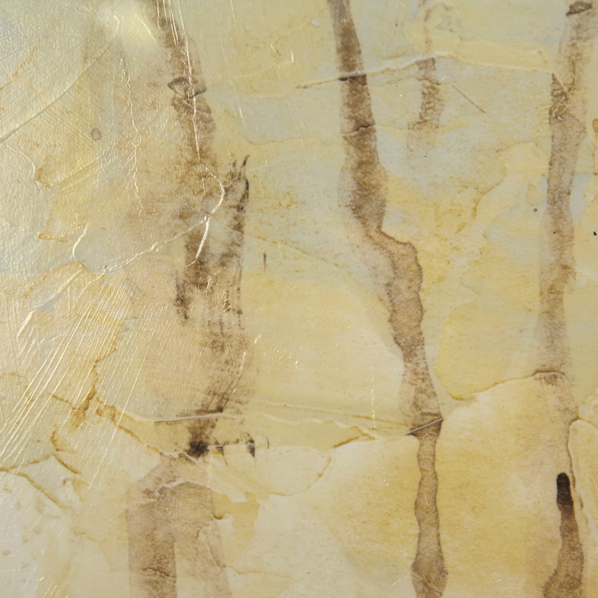 Treeline Light I by Jennifer Goldberger Hand Embellished Textured Framed Art Print Matted under Glas — product photograph
