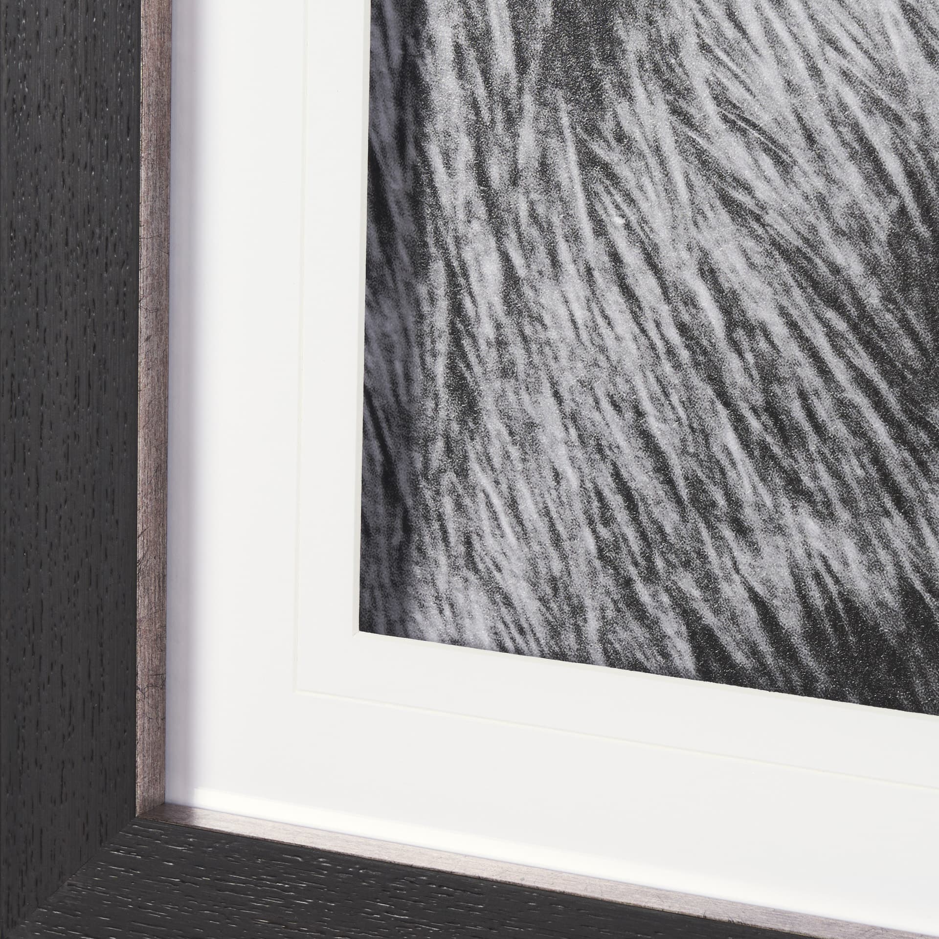 Mustang by Nathan Larson a Hand Embellished Framed Photo Art Print Matted under Glass — product photograph