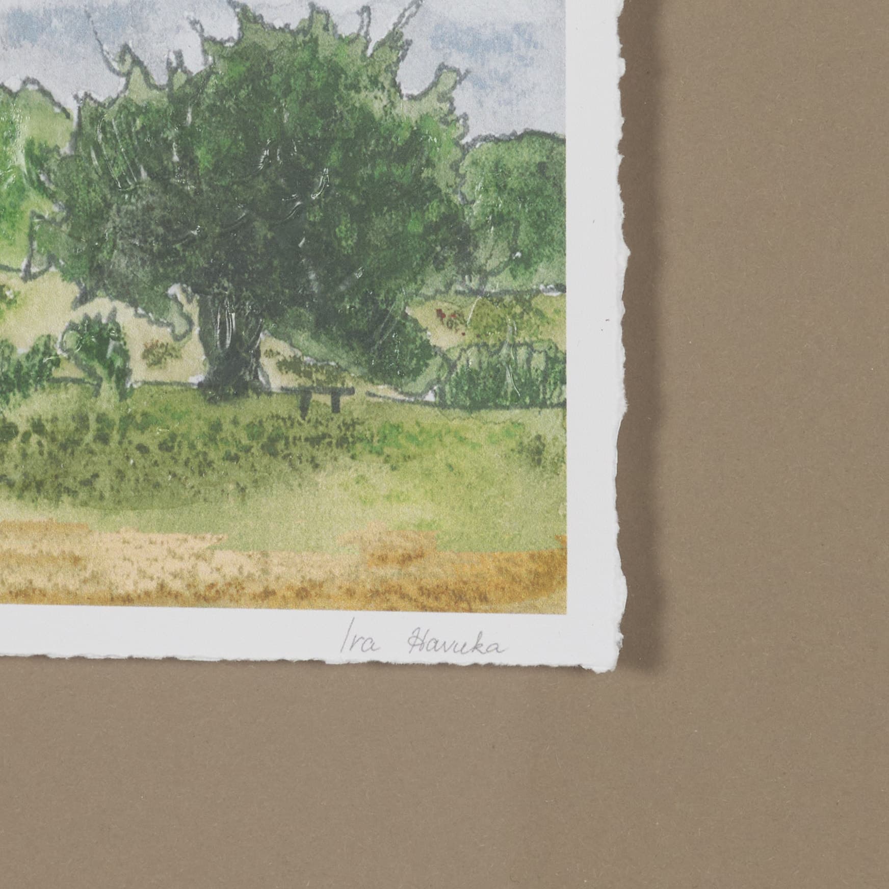 Discovery (Set of 2) by Ira Havuka Hand-Embellished Framed Artwork Matted under Glass — product photograph