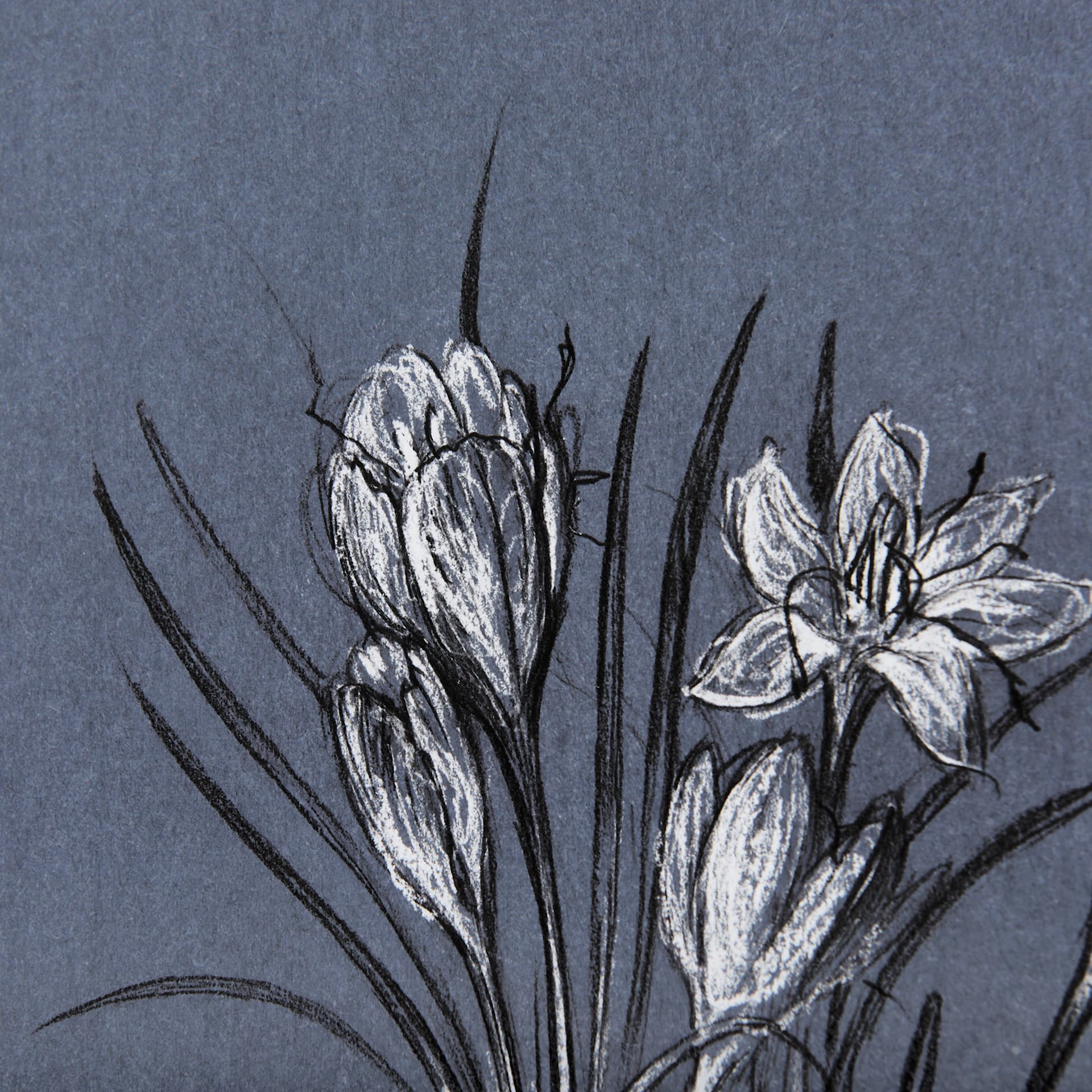 Botanical sketches V (Blue) by Mercana Studio Hand Embellished Framed Art Print Matted under Glass — product photograph