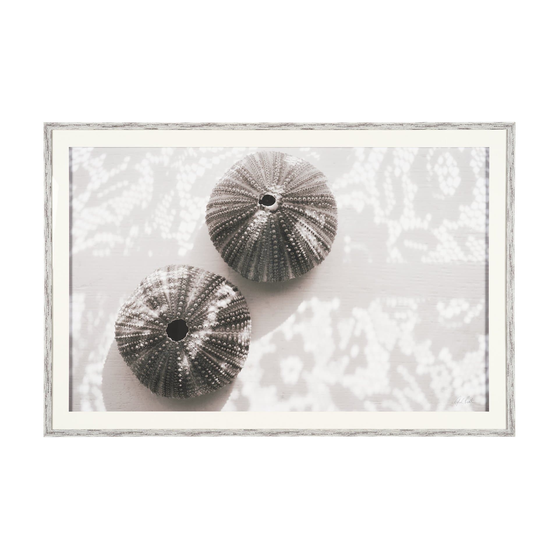 Urchins in Lace I by Deborah Revell a Hand Embellished Framed Print under Glass — product photograph