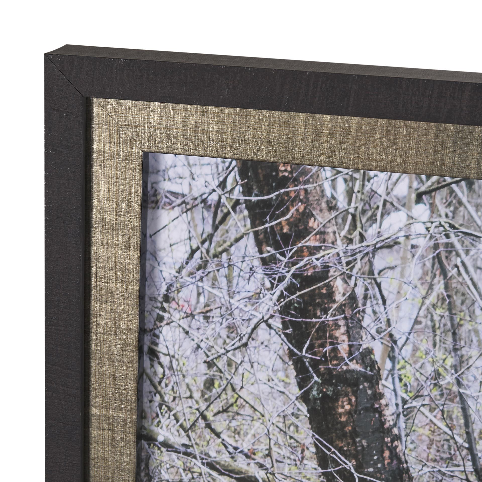Branchscape Moss - Reflect by Mikael Svensson a Framed Photo Art Print Matted under Glass — product photograph