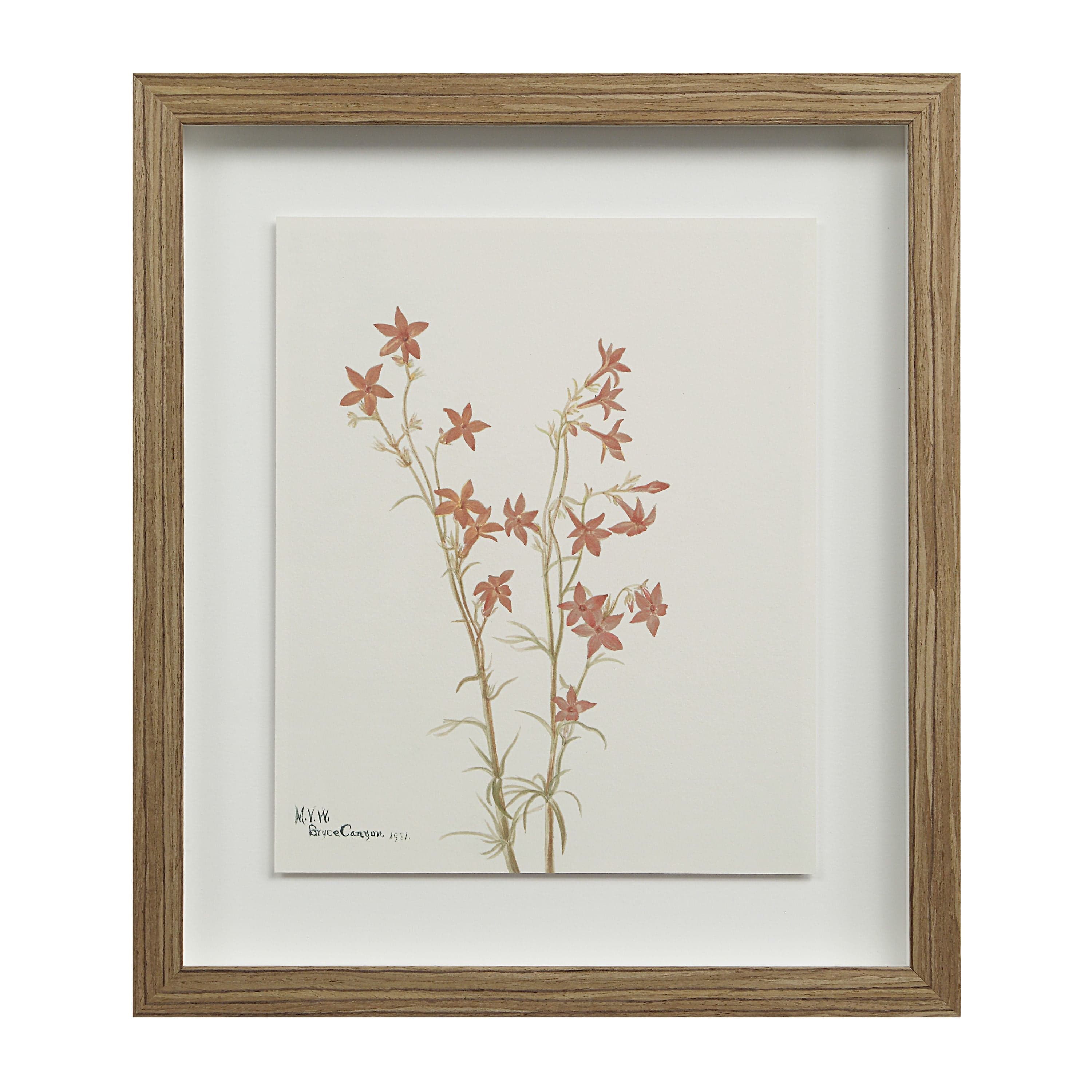 Crema — product photograph