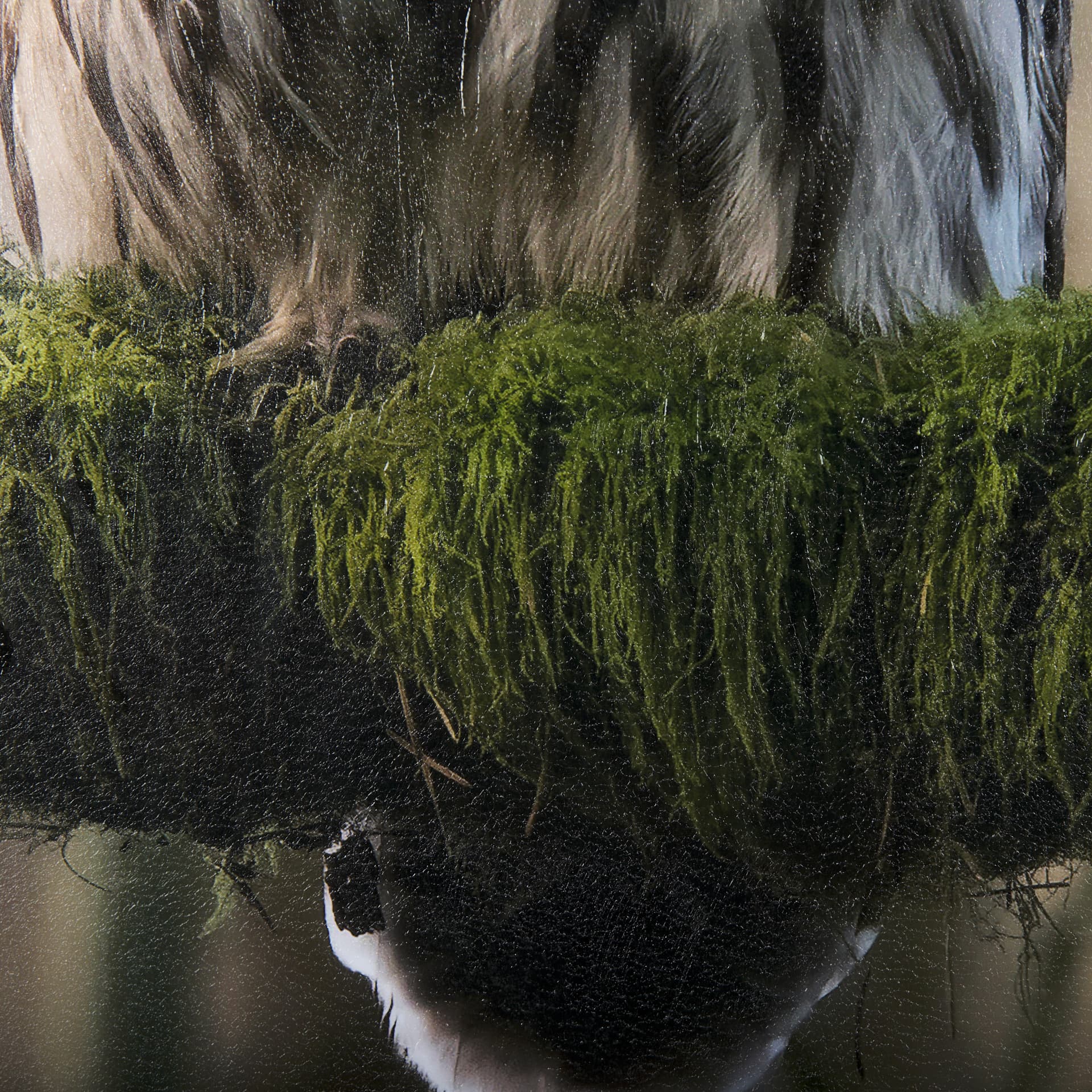 Forest Owl by Chad Mackay a Hand Embellished Textured Framed Photo Art Print Matted under Glass — product photograph