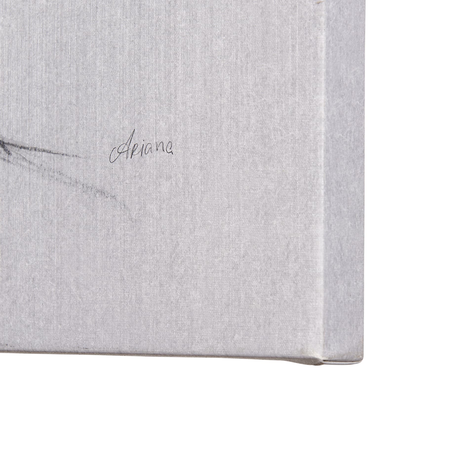 Botanical sketches IV (Grey) by Mercana Studio a Hand Embellished Textured Canvas — product photograph