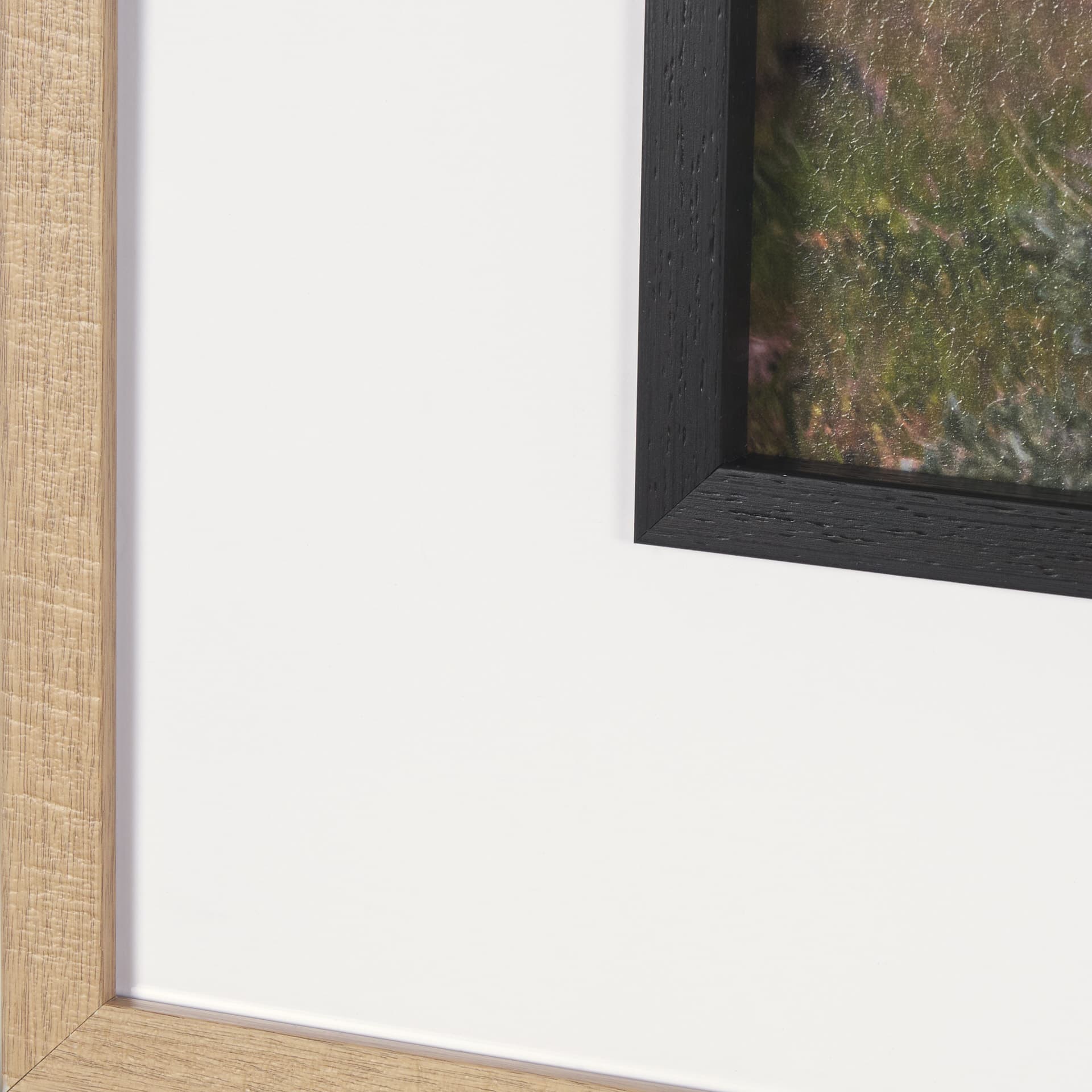 Longhorn 5 by Gary Blatter a Hand Embellished Framed Photo Art Print Matted under Glass — product photograph