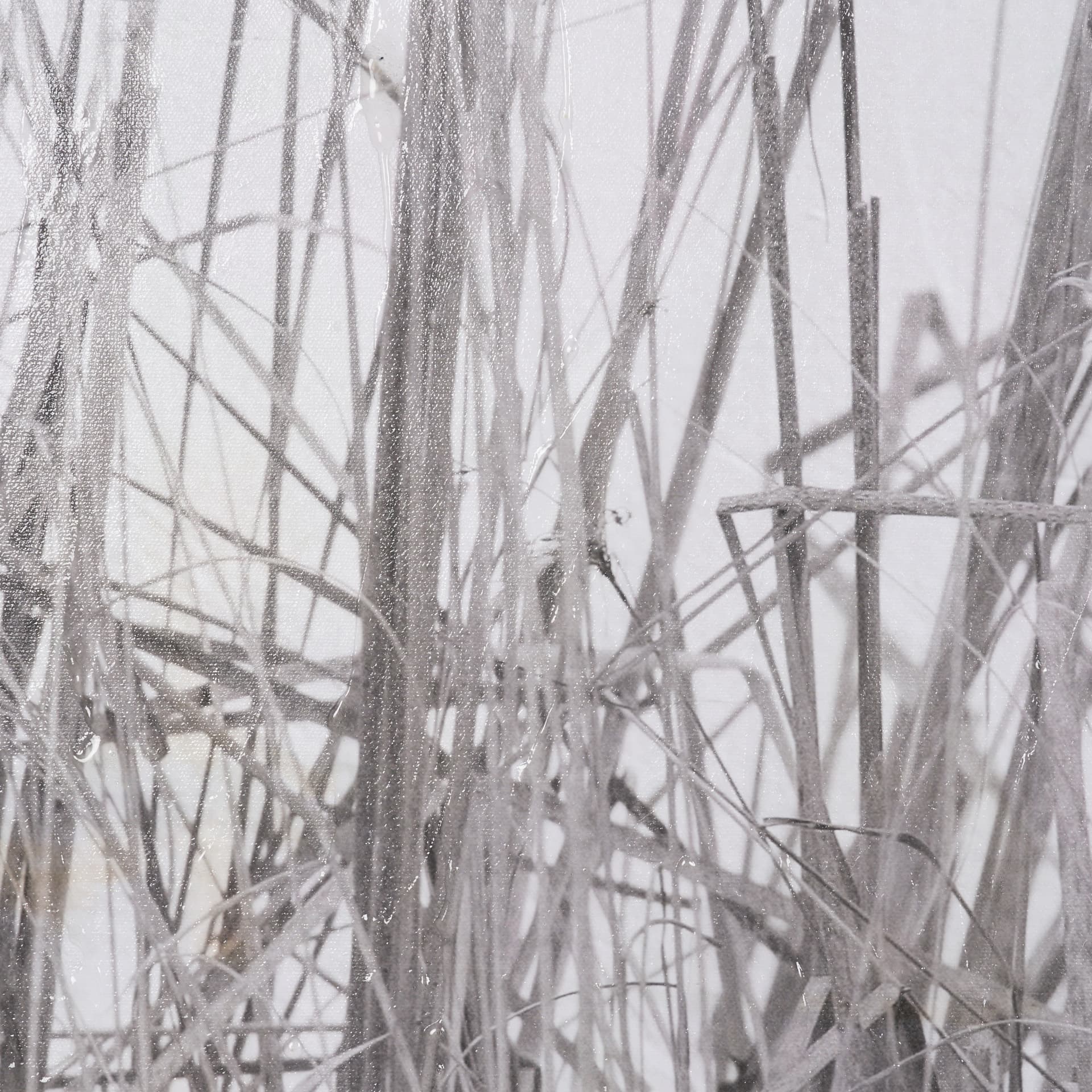 Kate Rushes I by Deborah Revell Hand-Embellished Textured Framed Canvas Artwork — product photograph